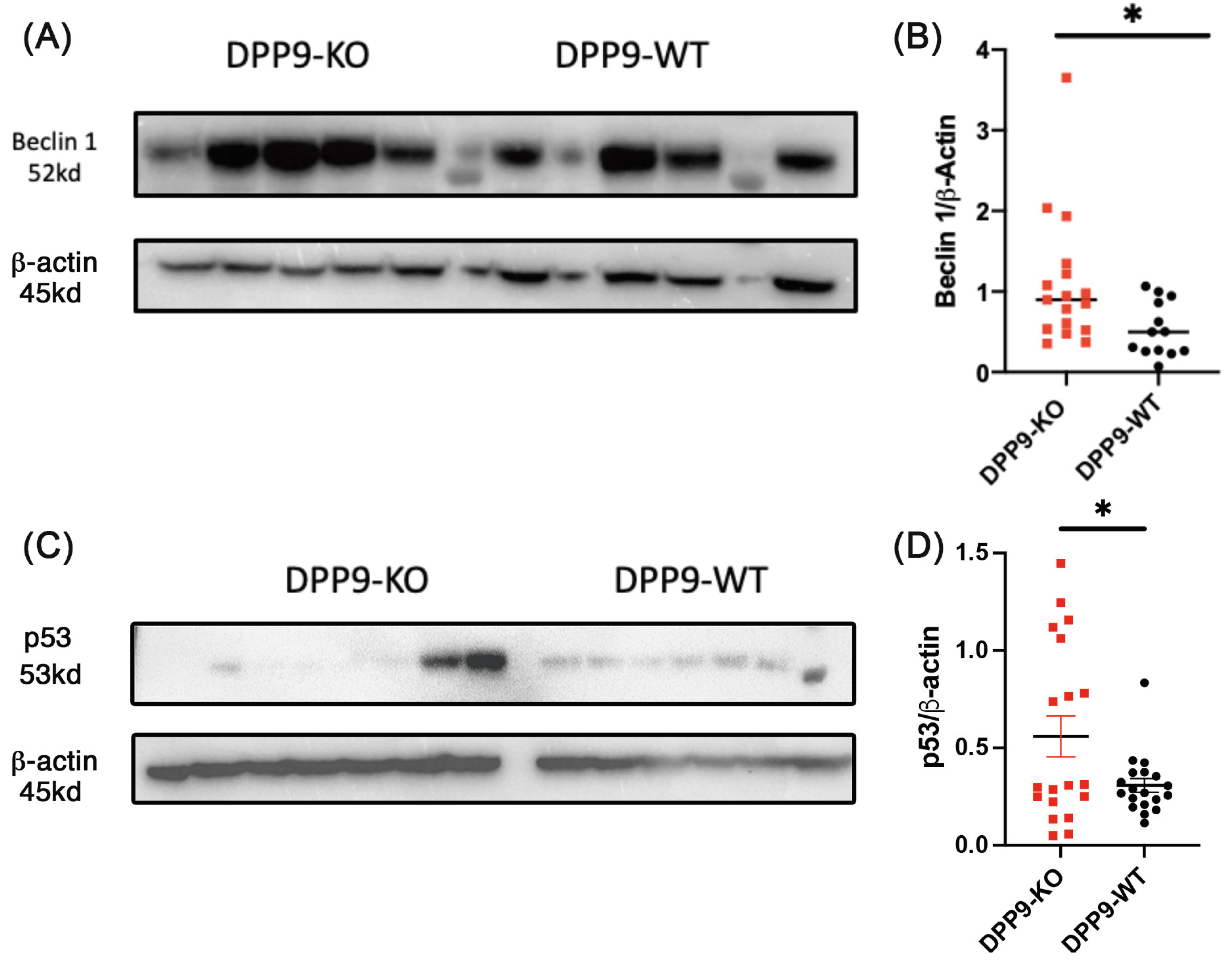 Preprints 102505 g015