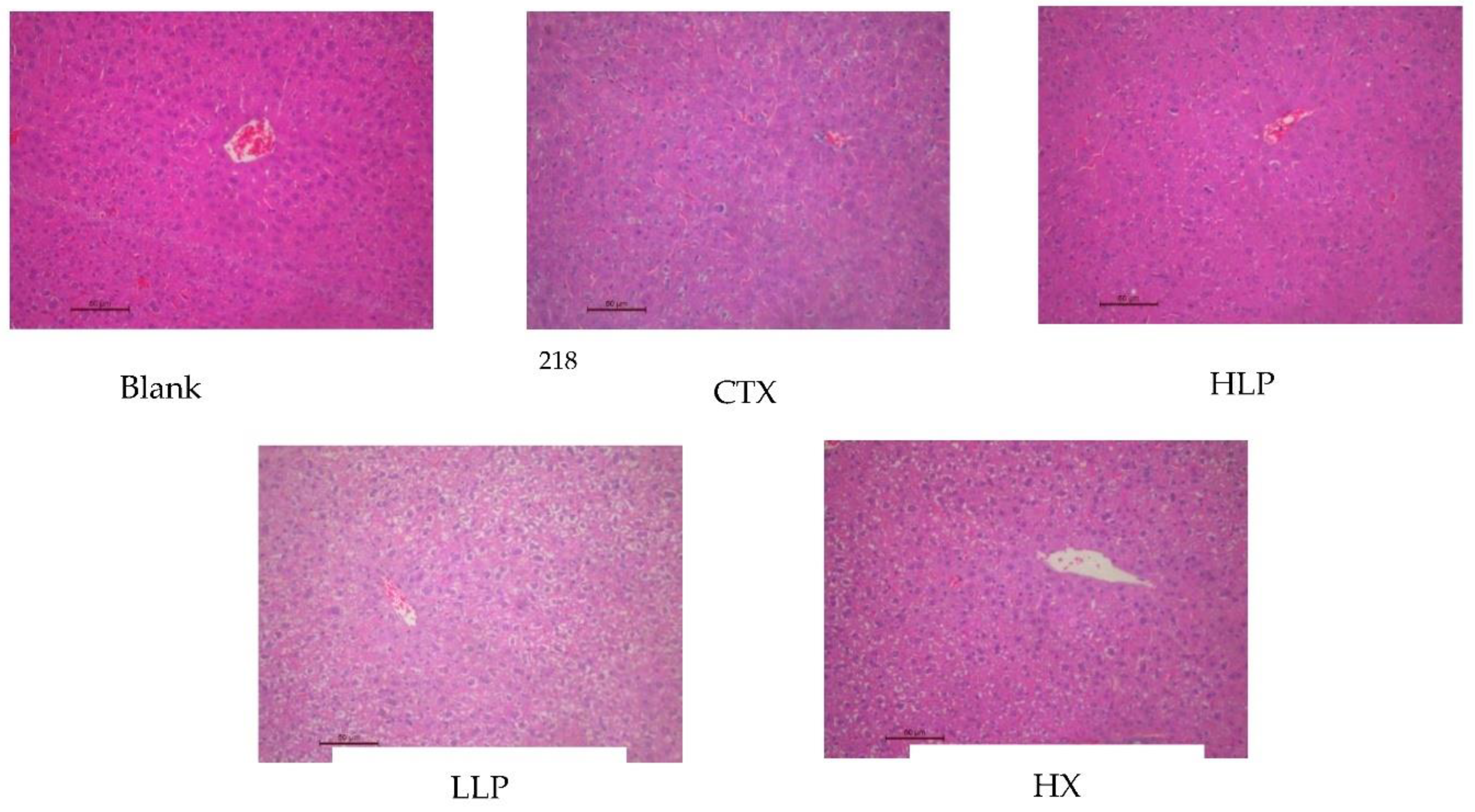 Preprints 107519 g002