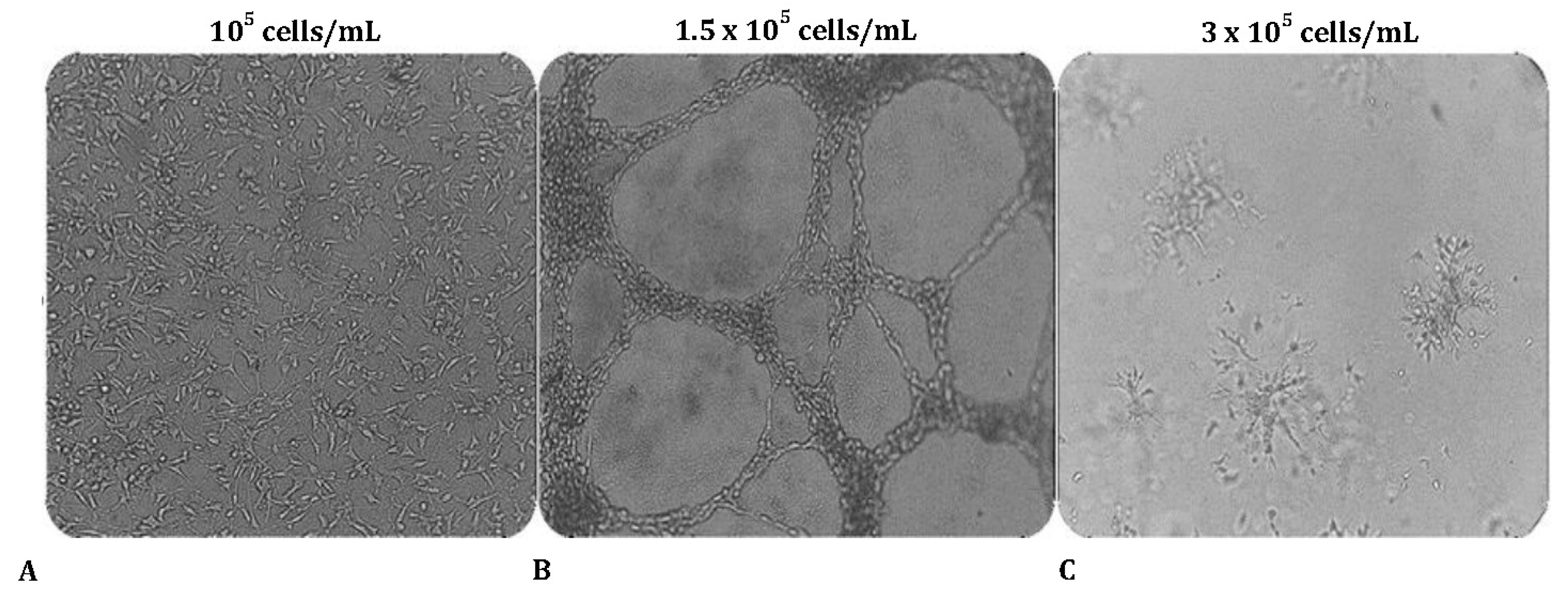 Preprints 78539 g001