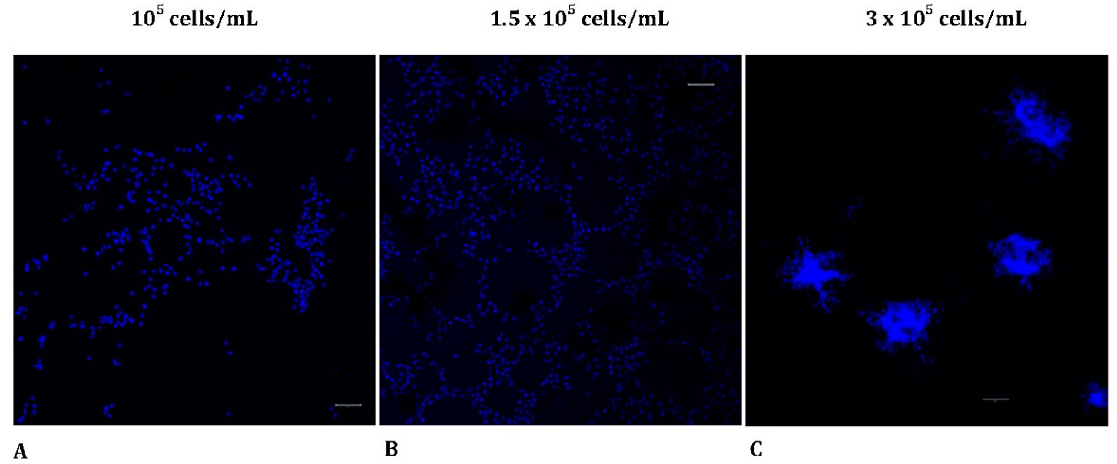 Preprints 78539 g002