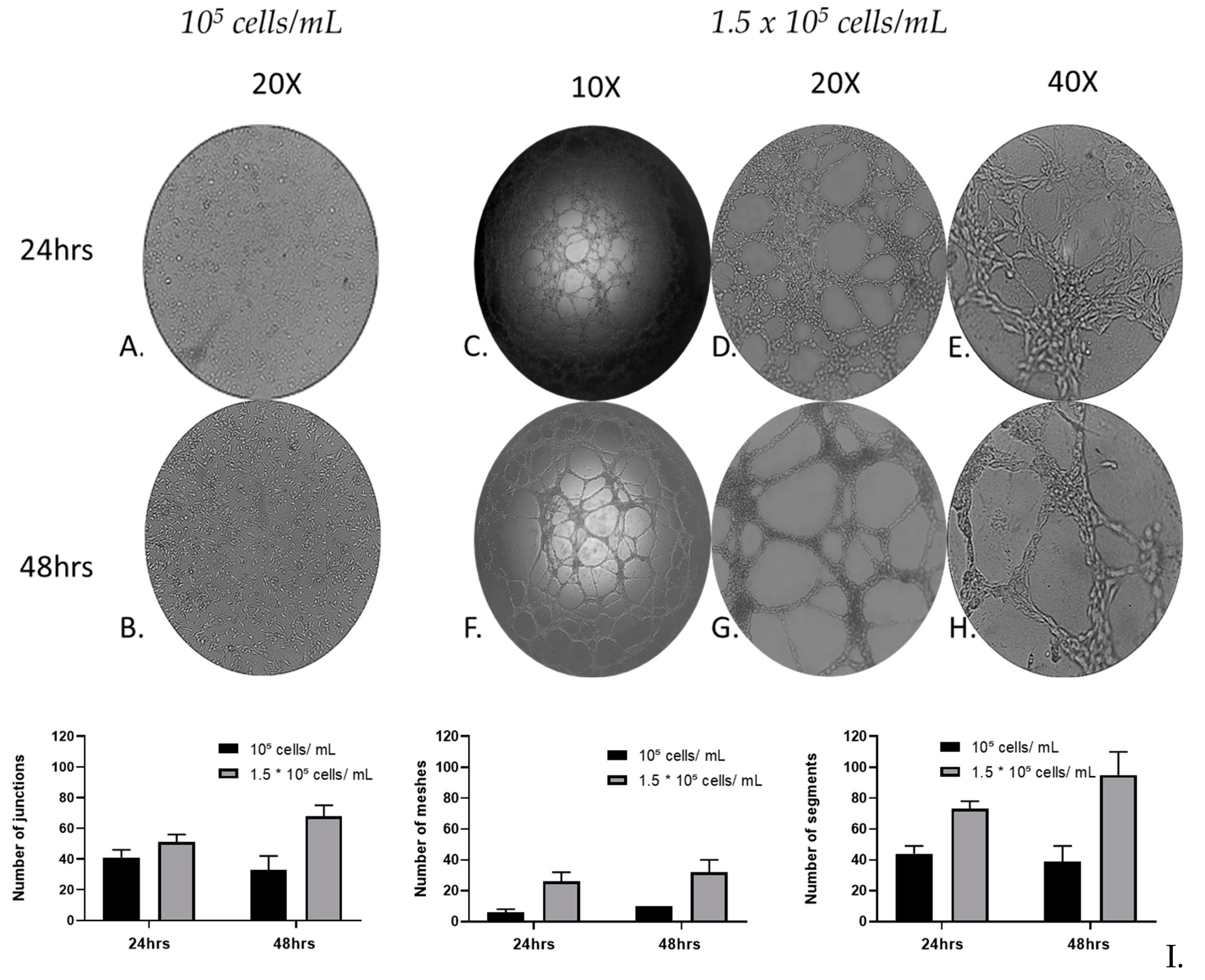 Preprints 78539 g003