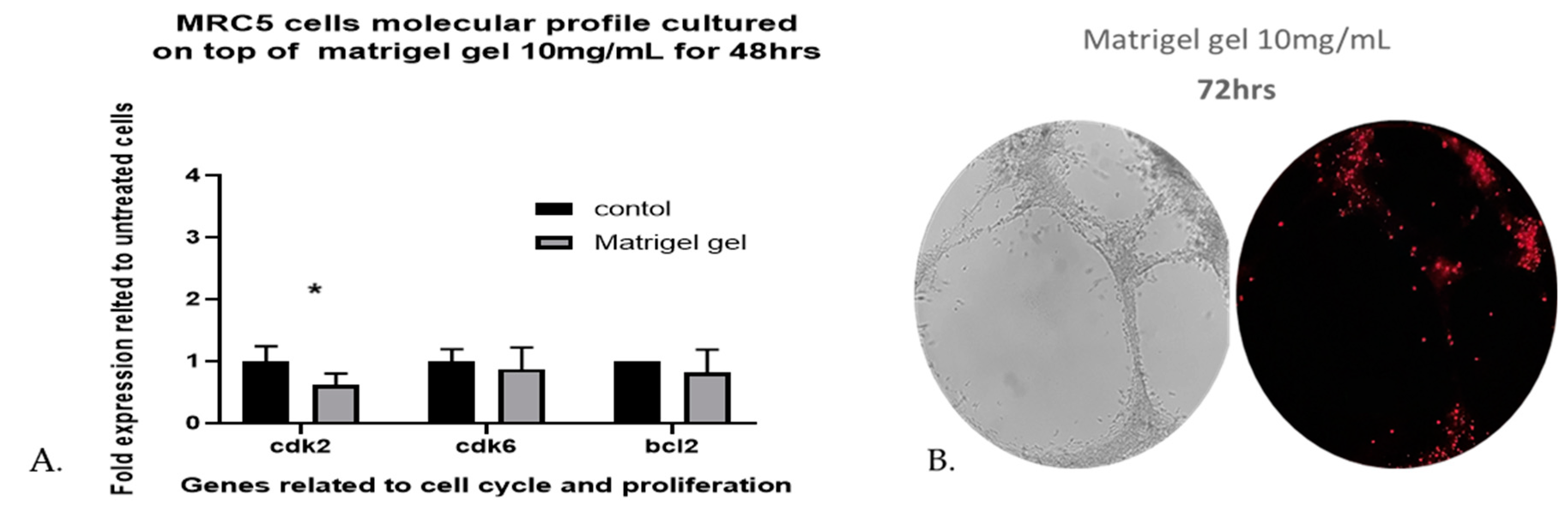 Preprints 78539 g004