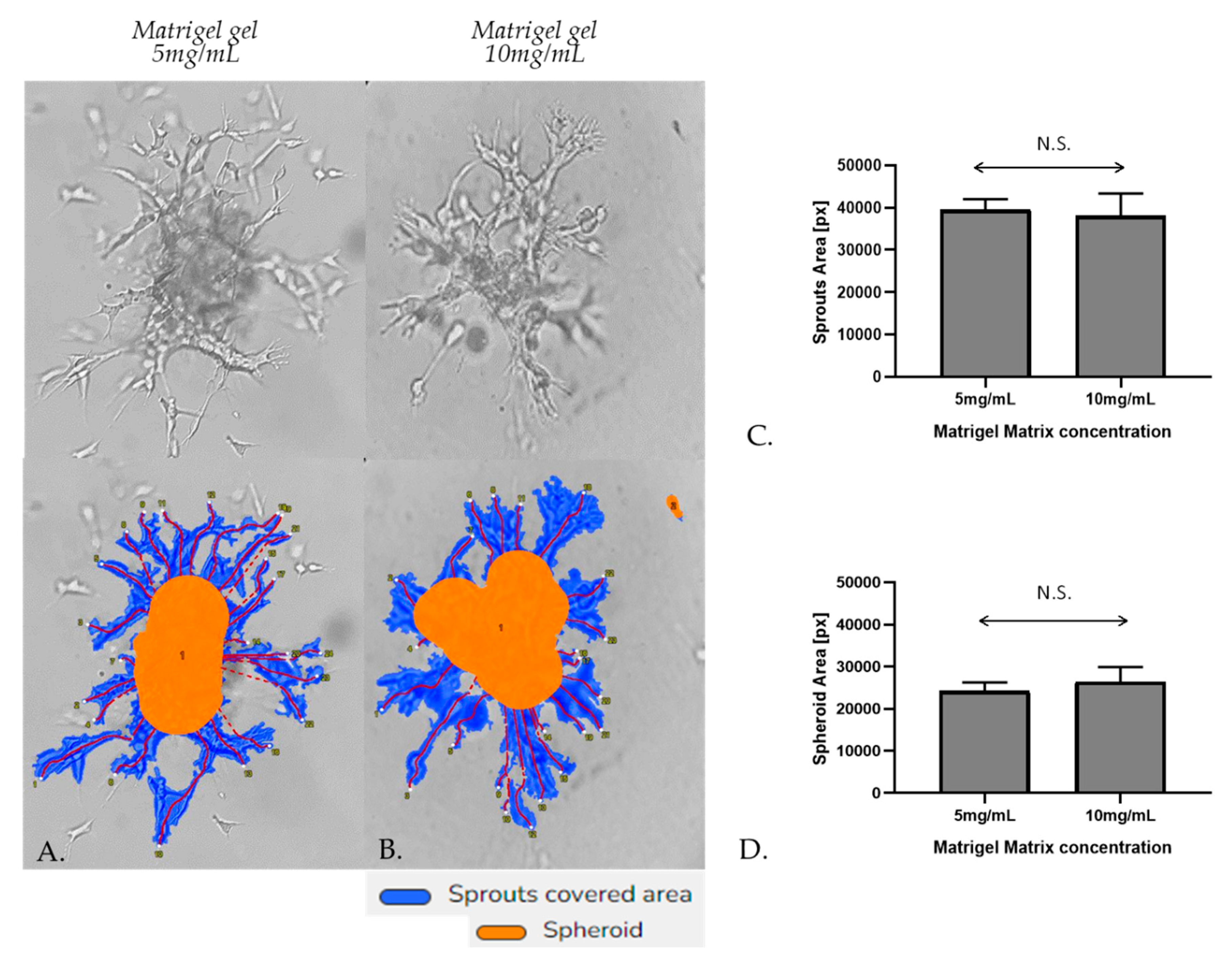 Preprints 78539 g006