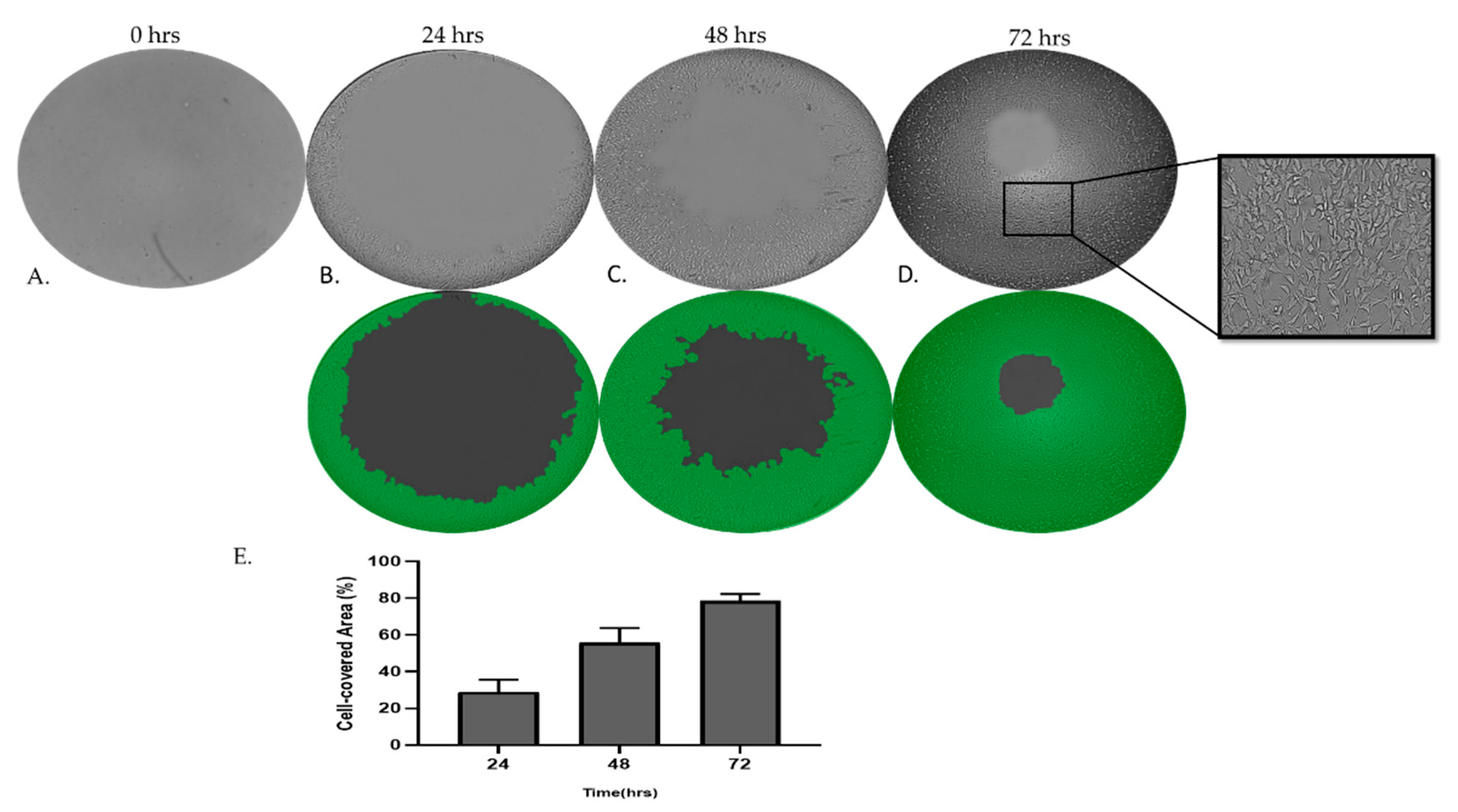 Preprints 78539 g007