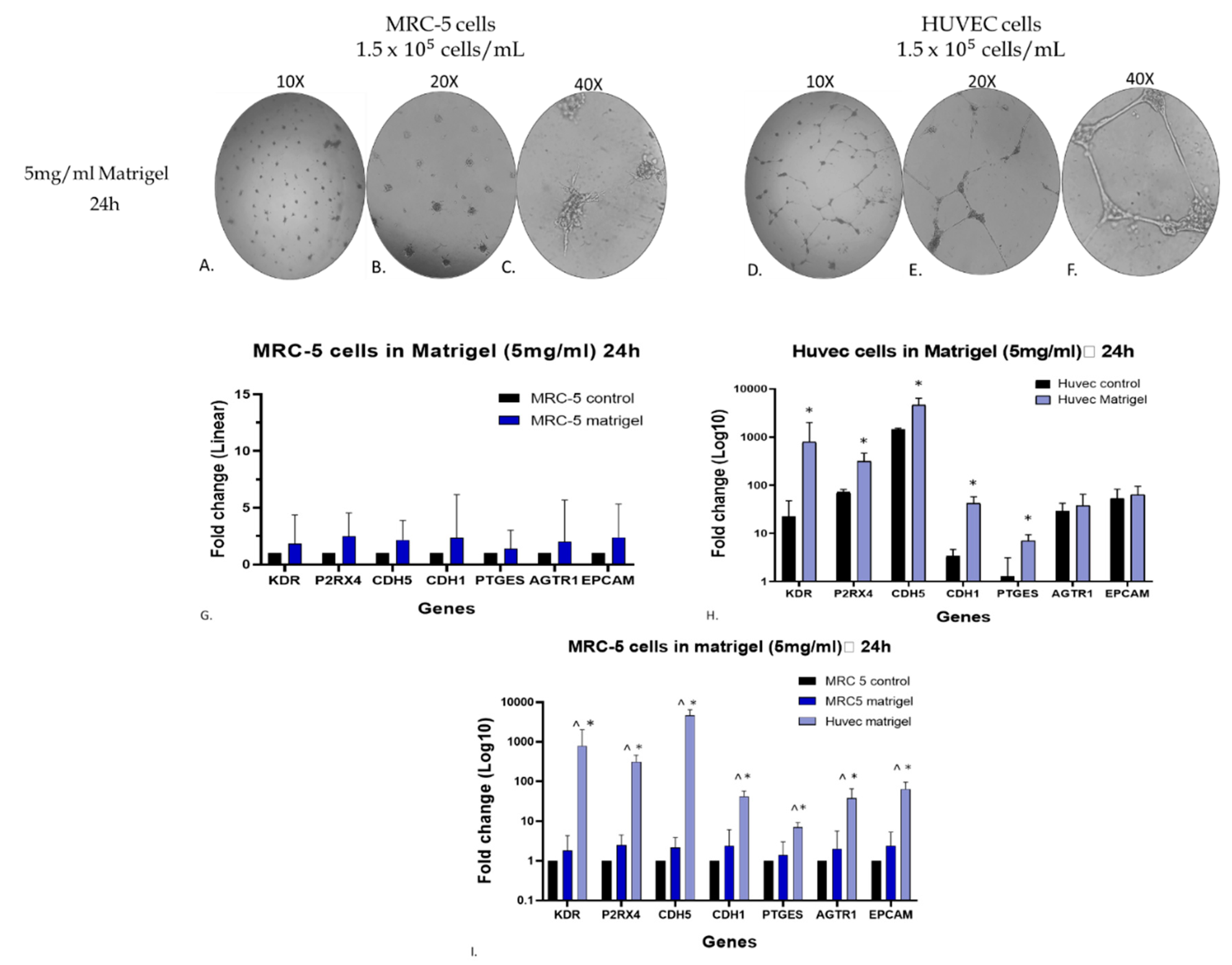 Preprints 78539 g008