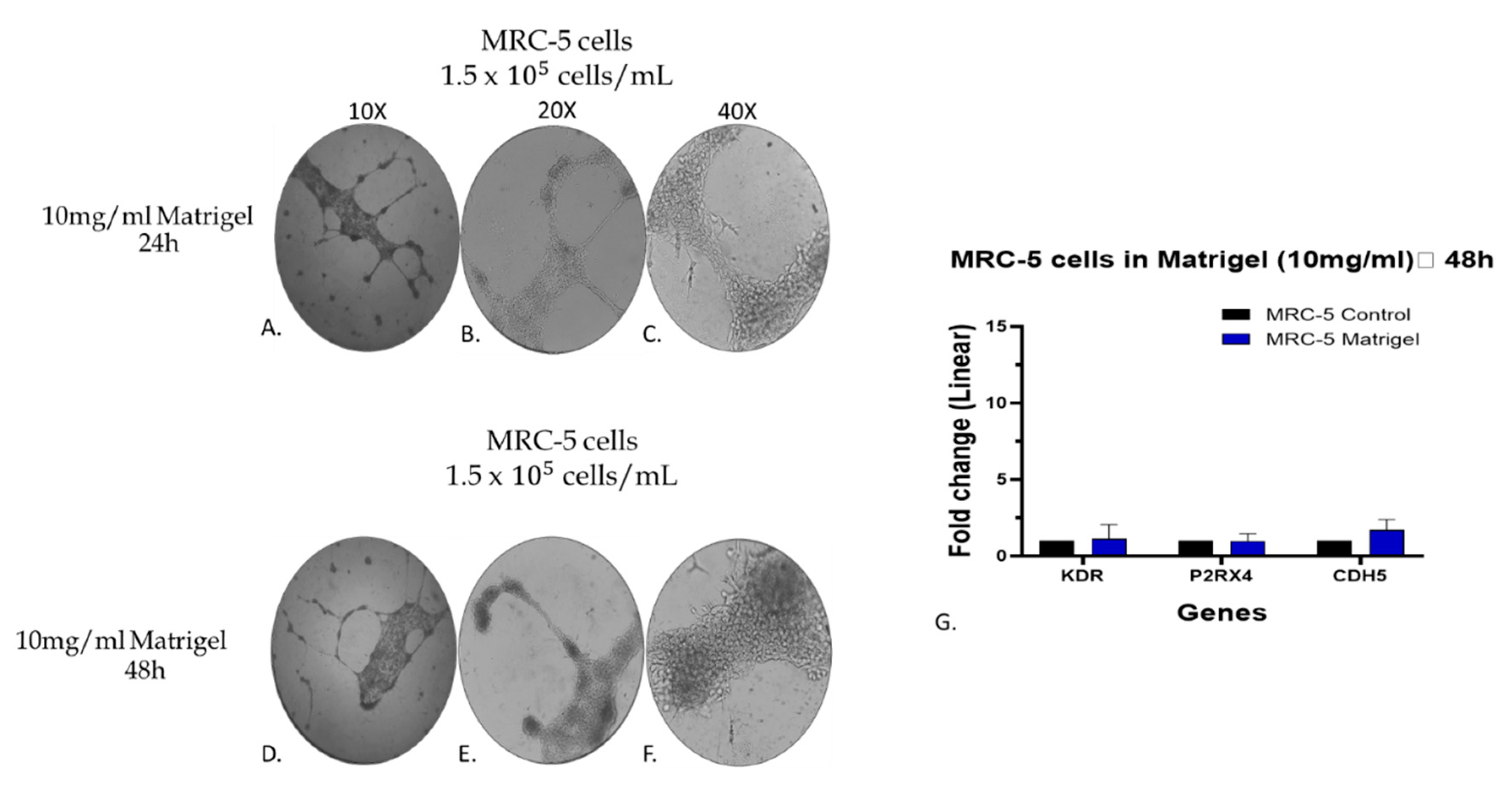 Preprints 78539 g009