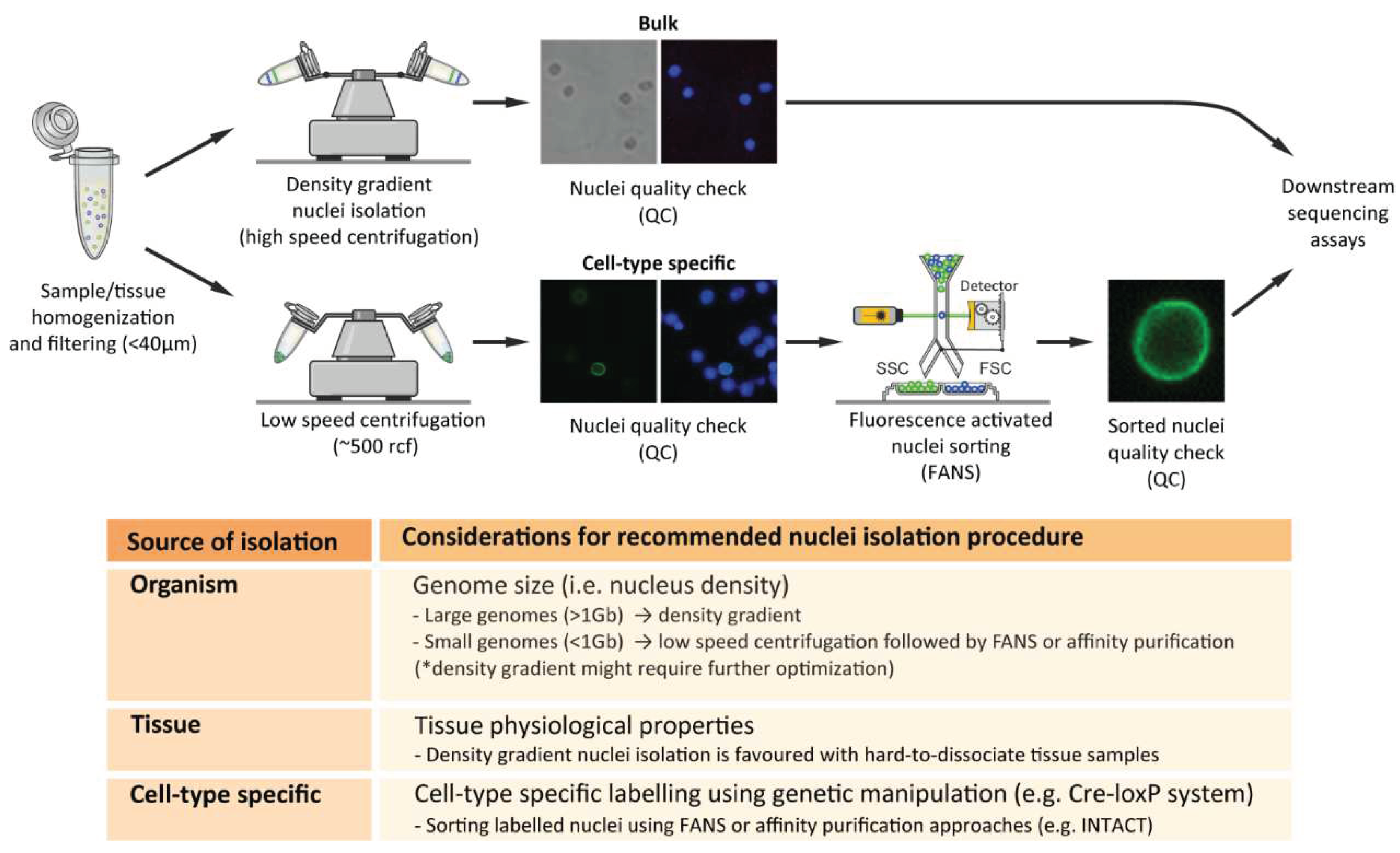 Preprints 69557 g002