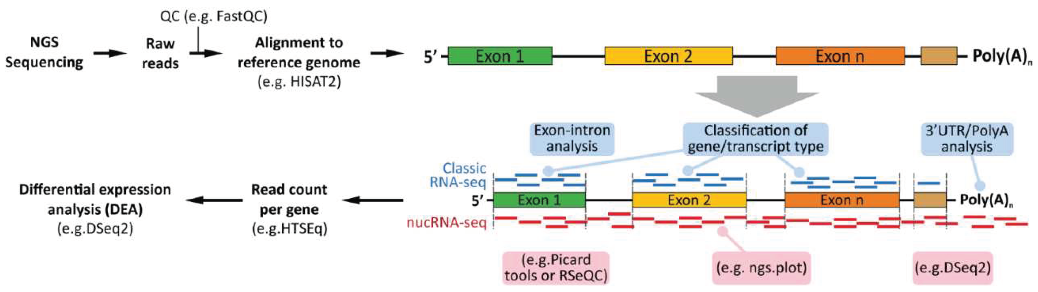 Preprints 69557 g003