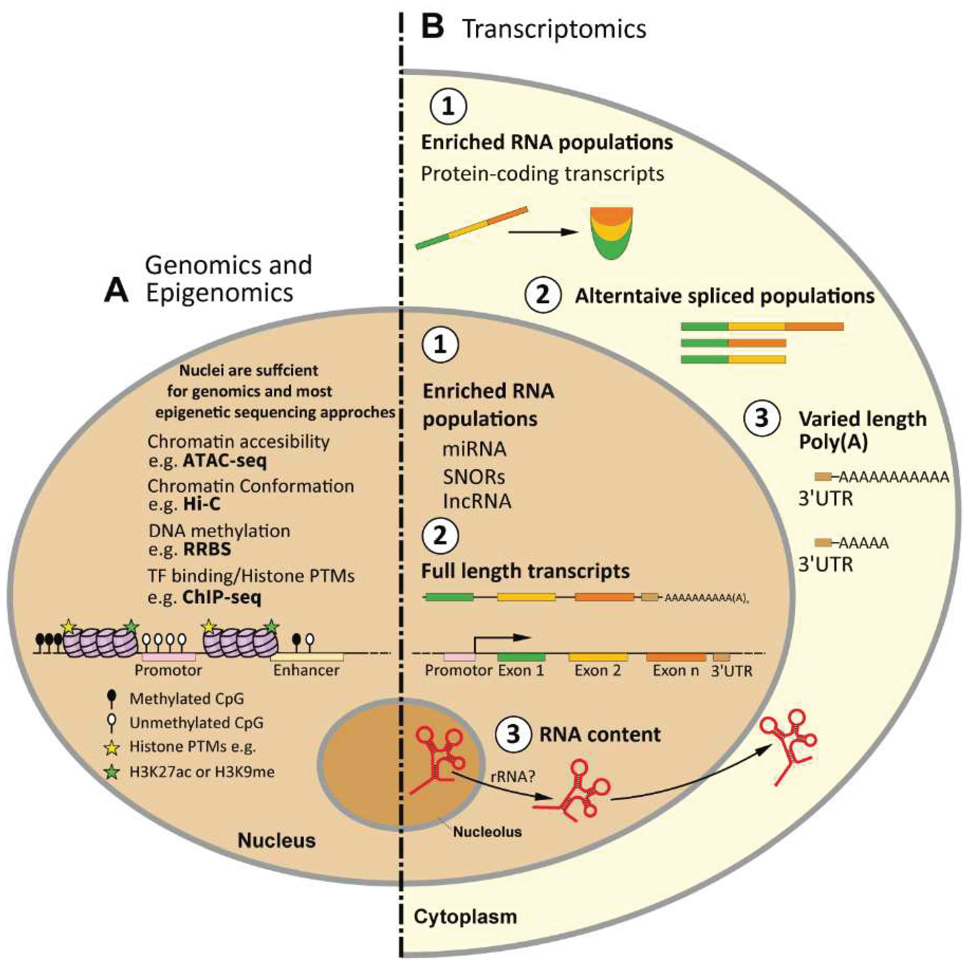 Preprints 69557 g004