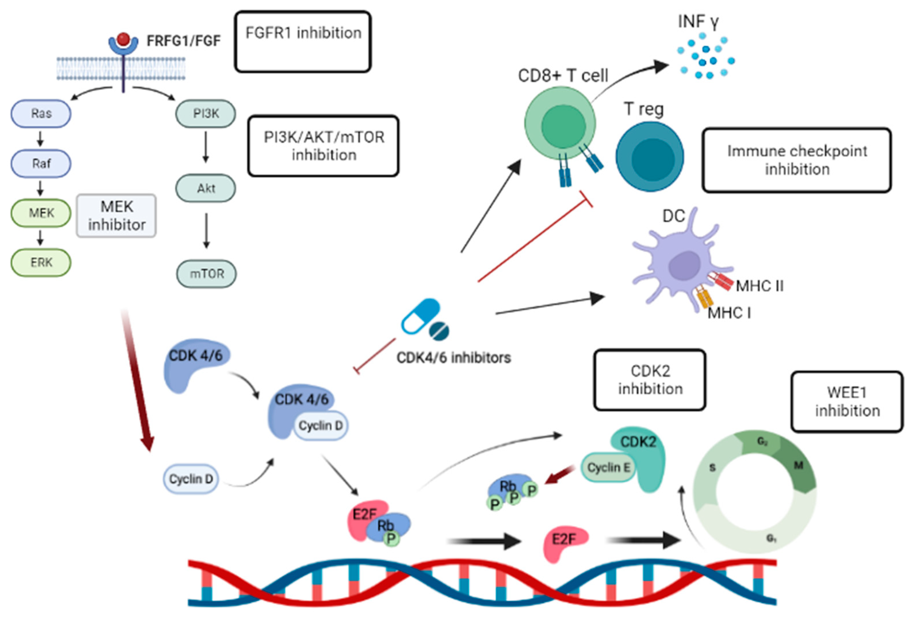 Preprints 77887 g002