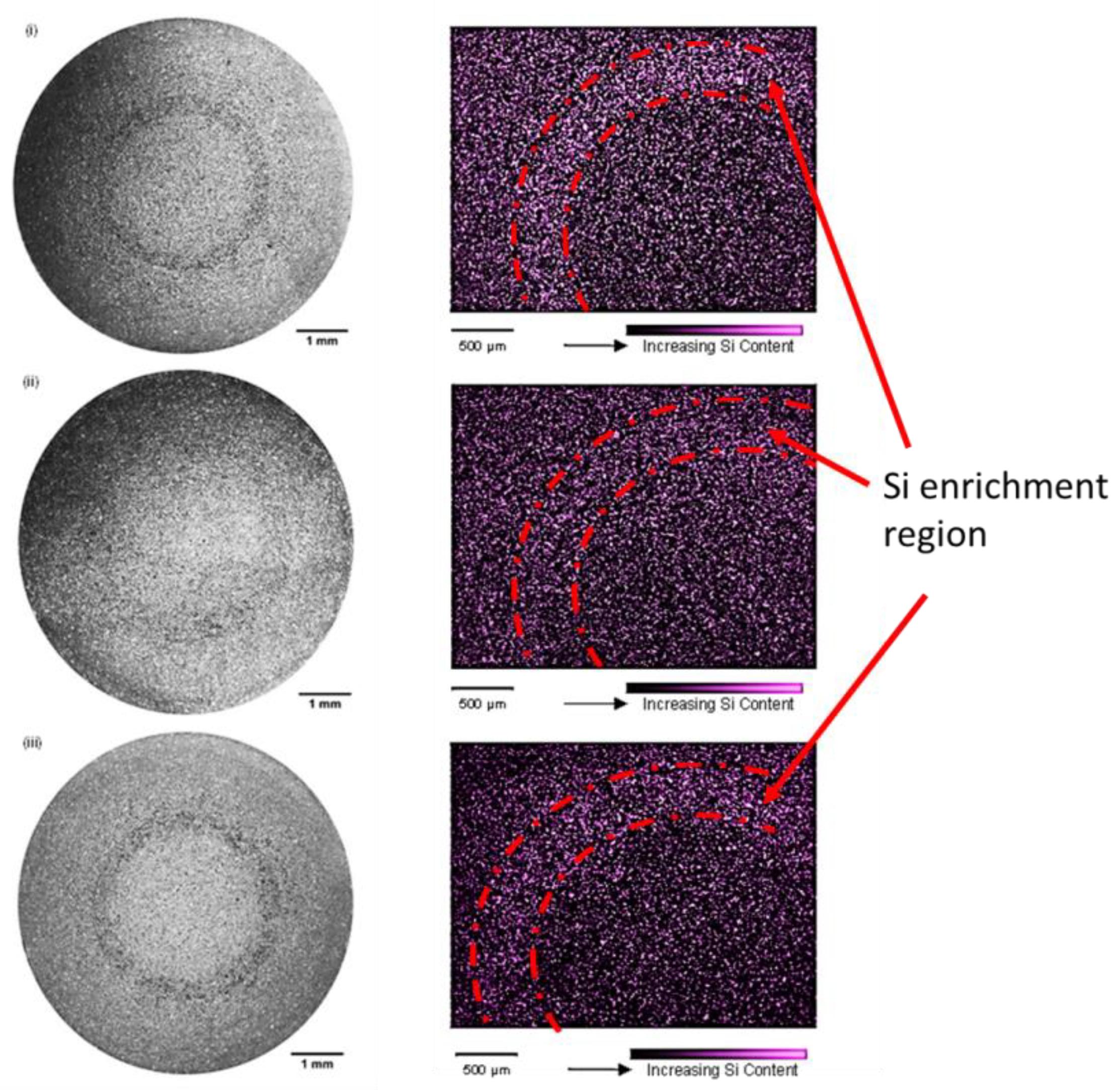 Preprints 119909 g004