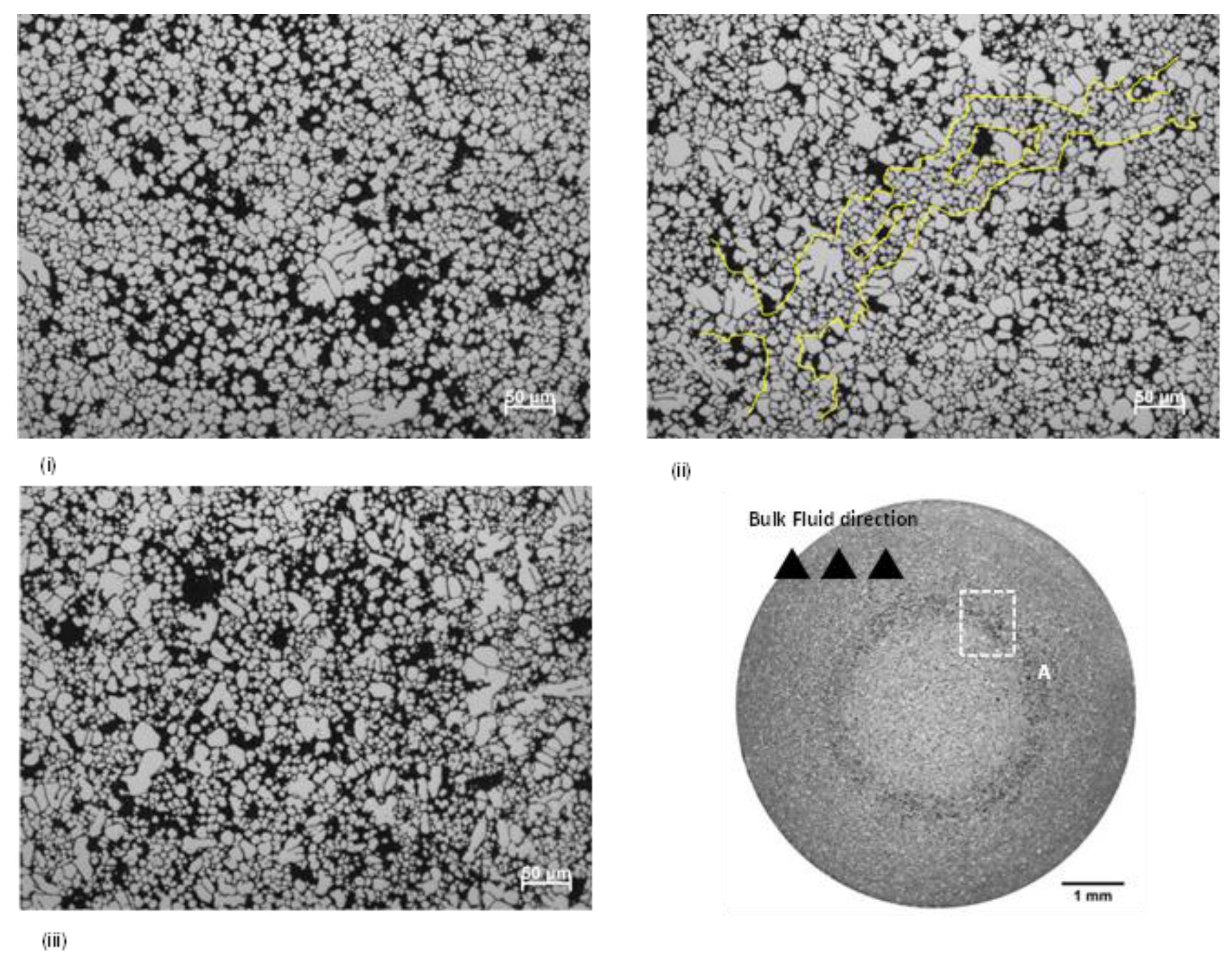 Preprints 119909 g005