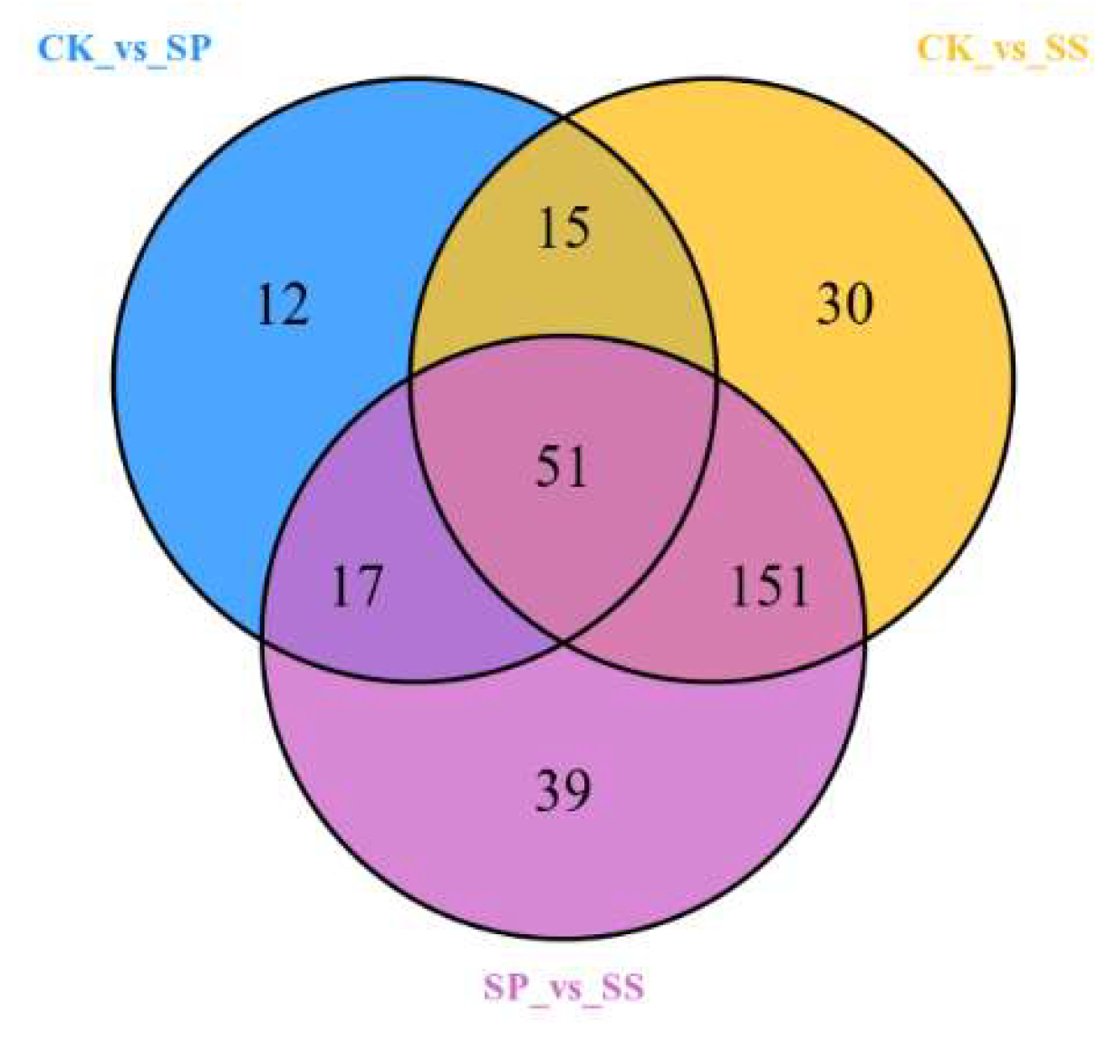 Preprints 116795 g008