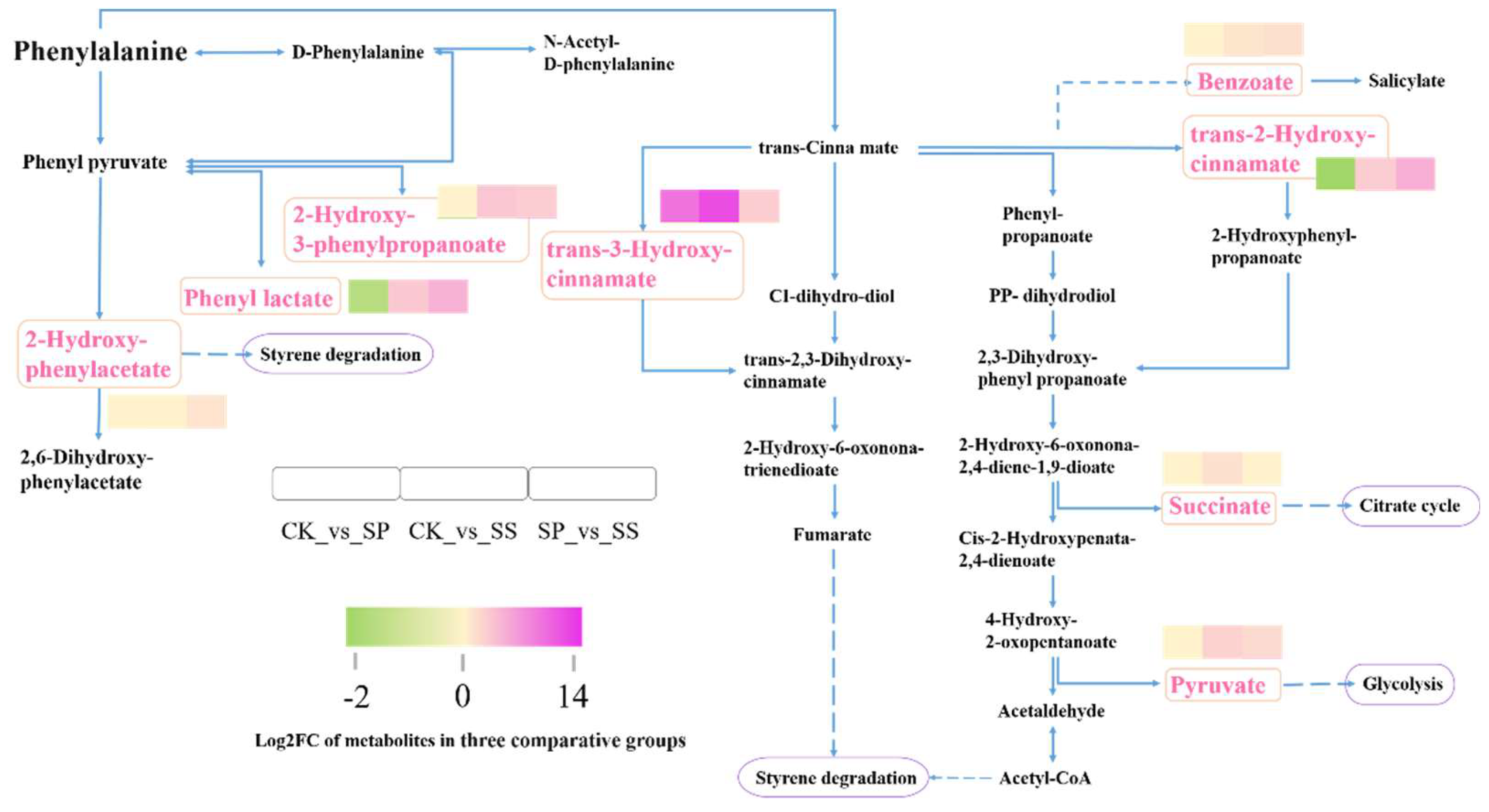 Preprints 116795 g011