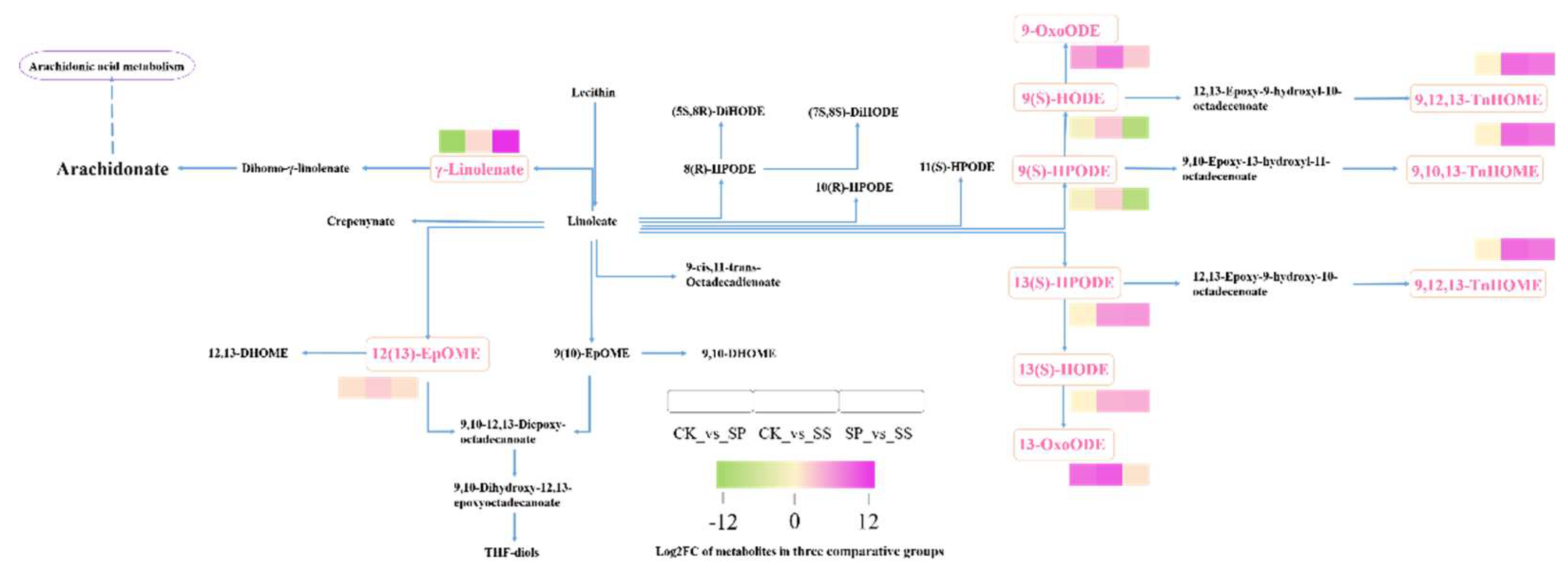 Preprints 116795 g012