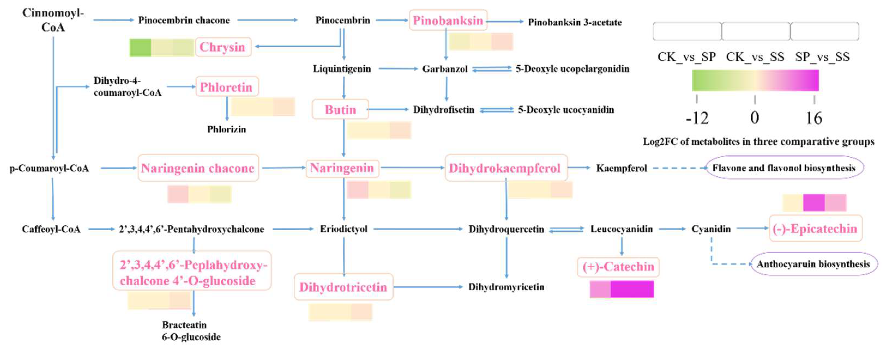 Preprints 116795 g013