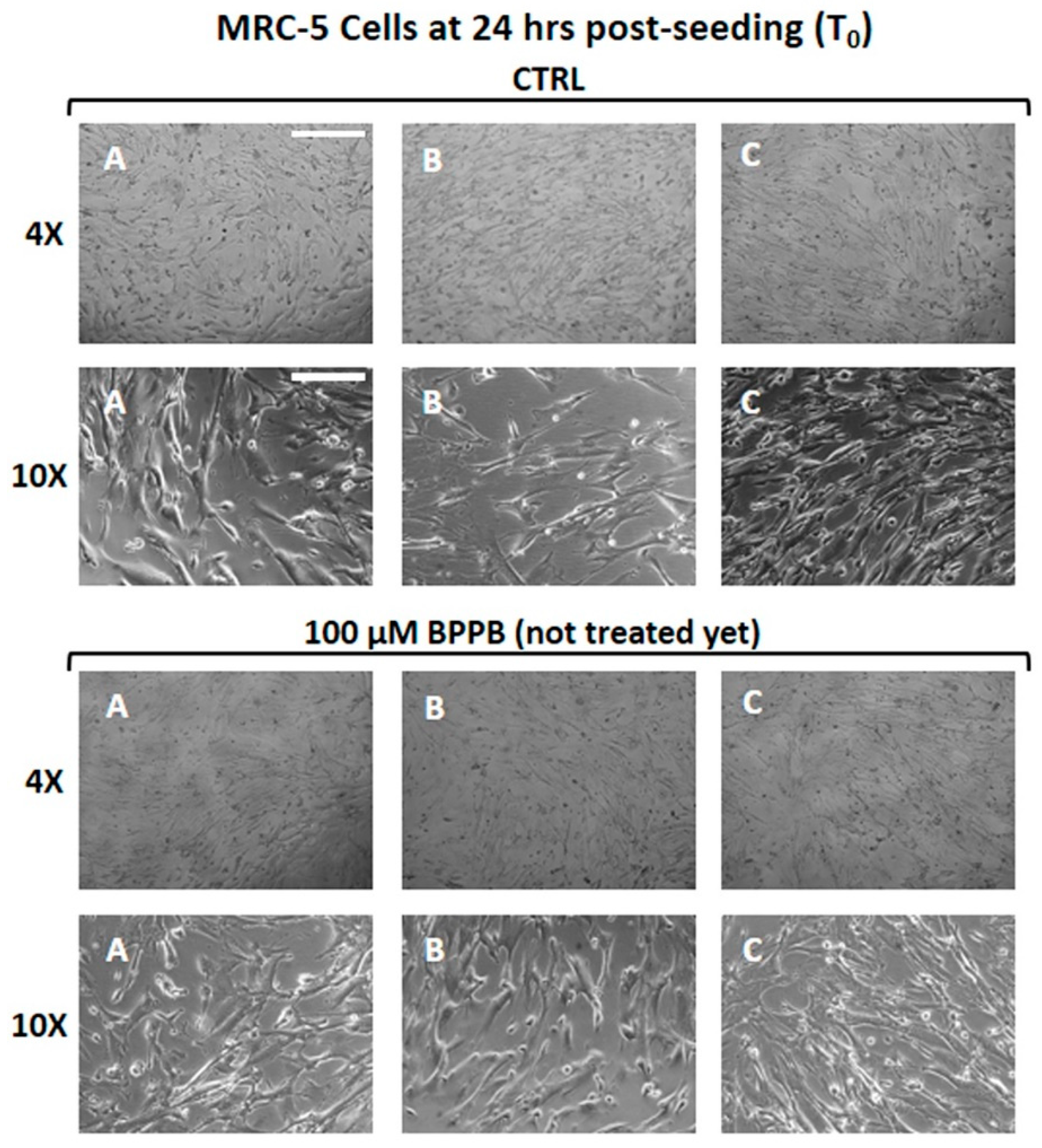 Preprints 114464 g006