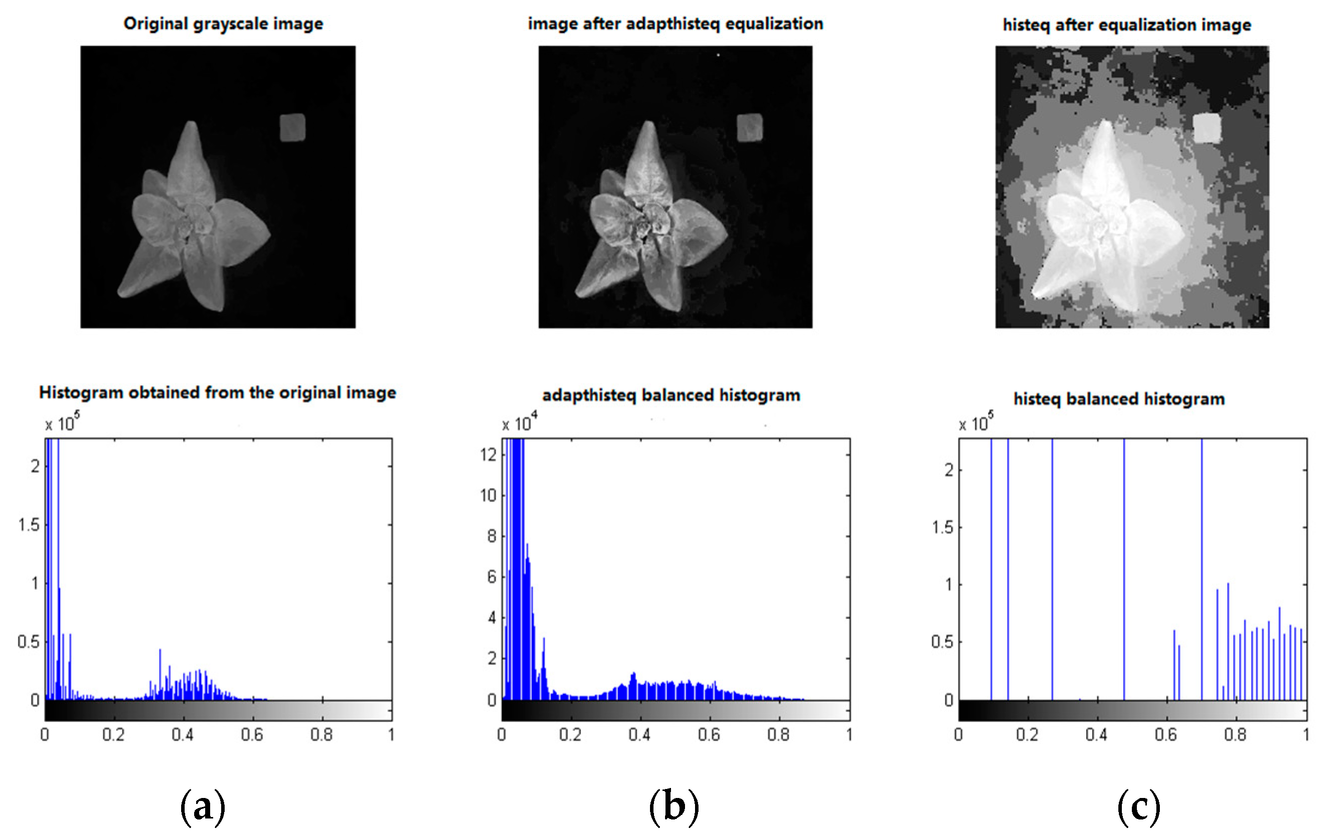 Preprints 75499 g007