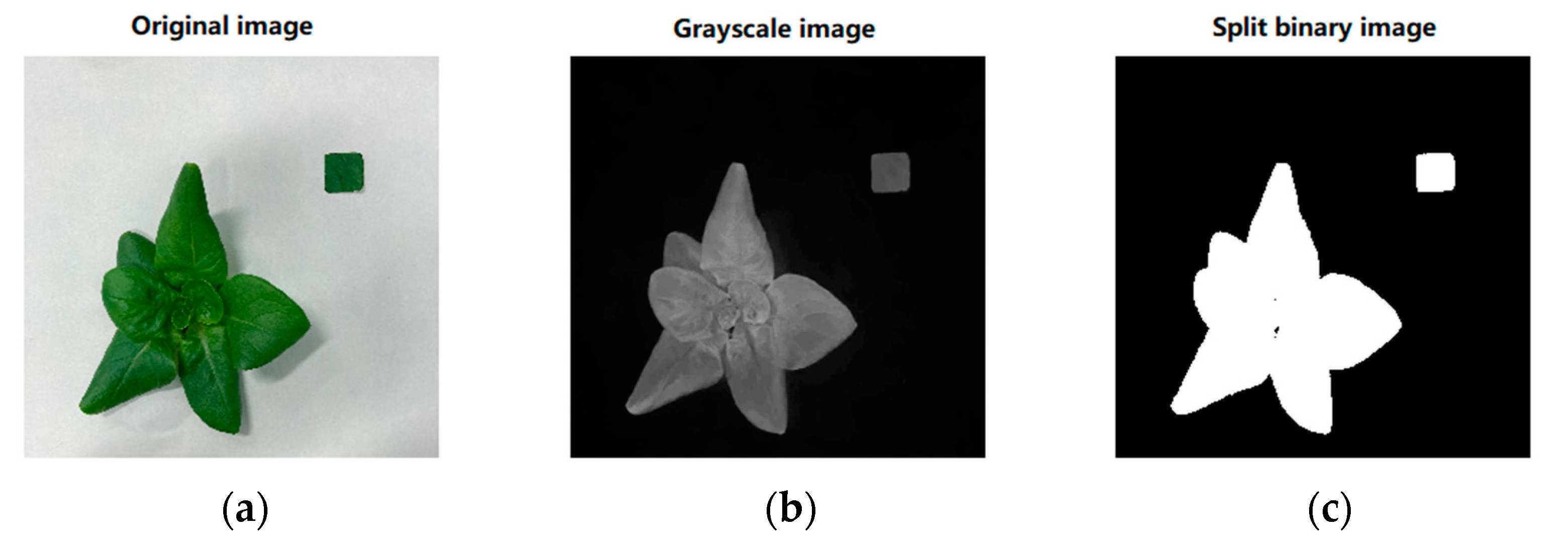 Preprints 75499 g008