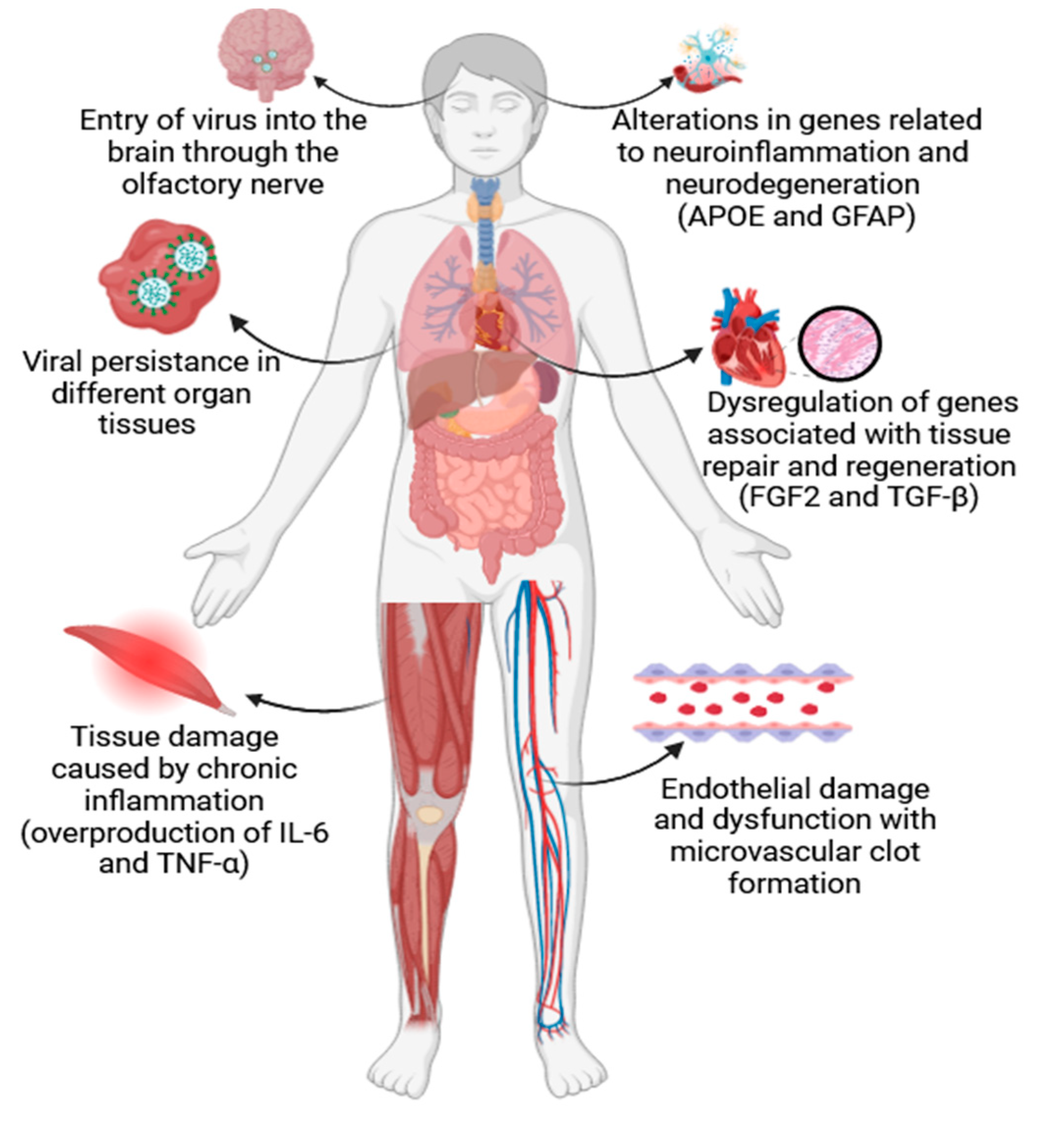 Preprints 91766 g001