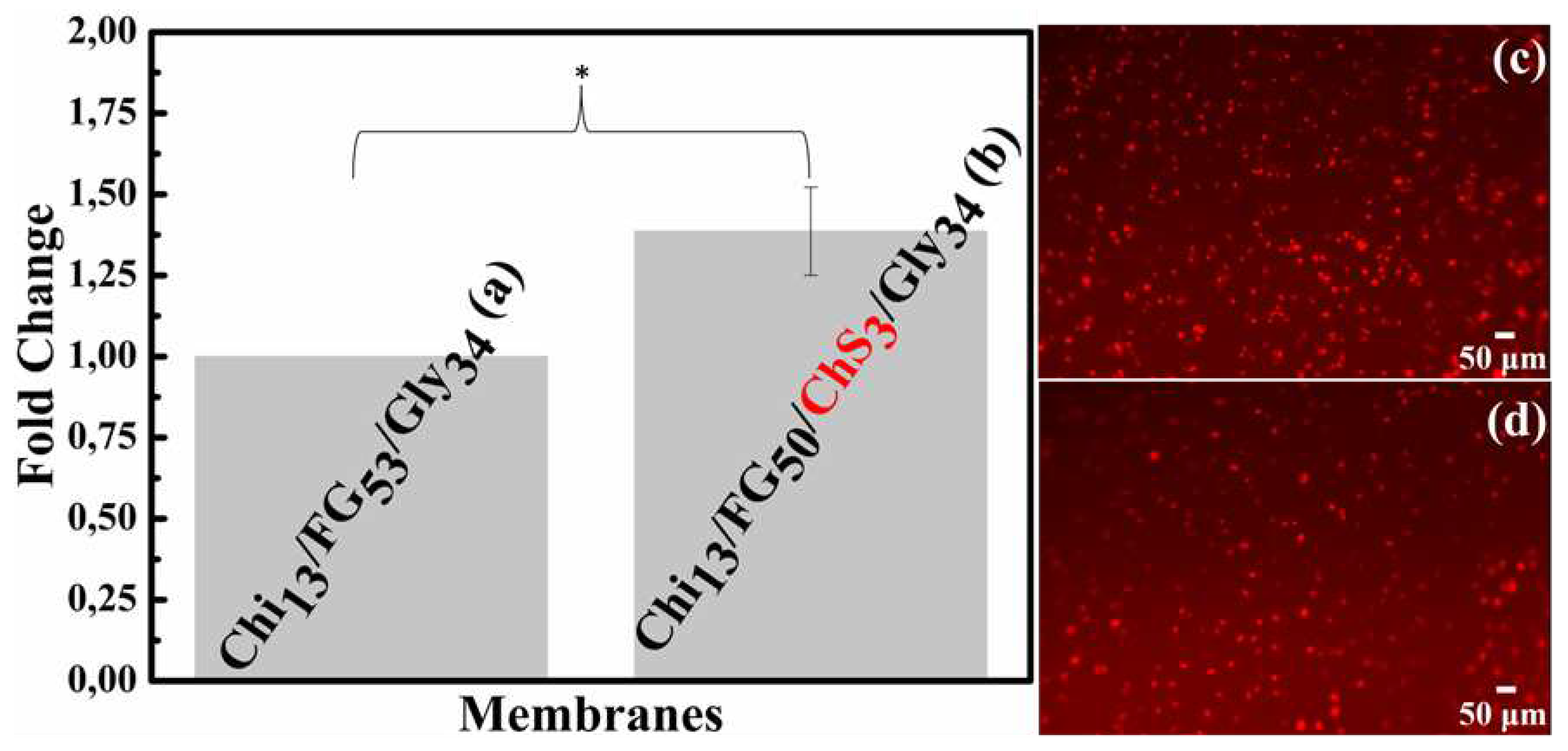 Preprints 88131 g011