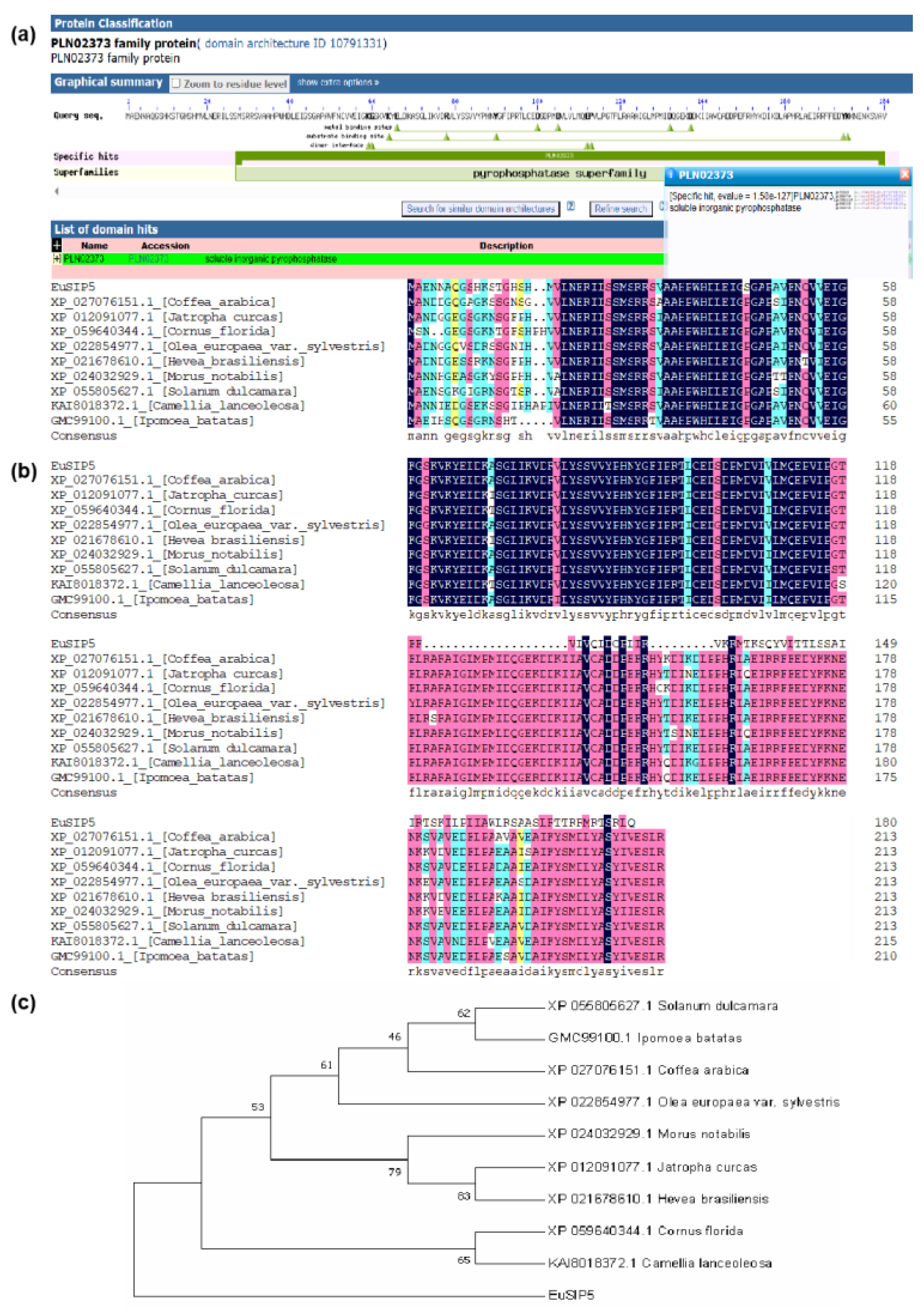 Preprints 115222 g001