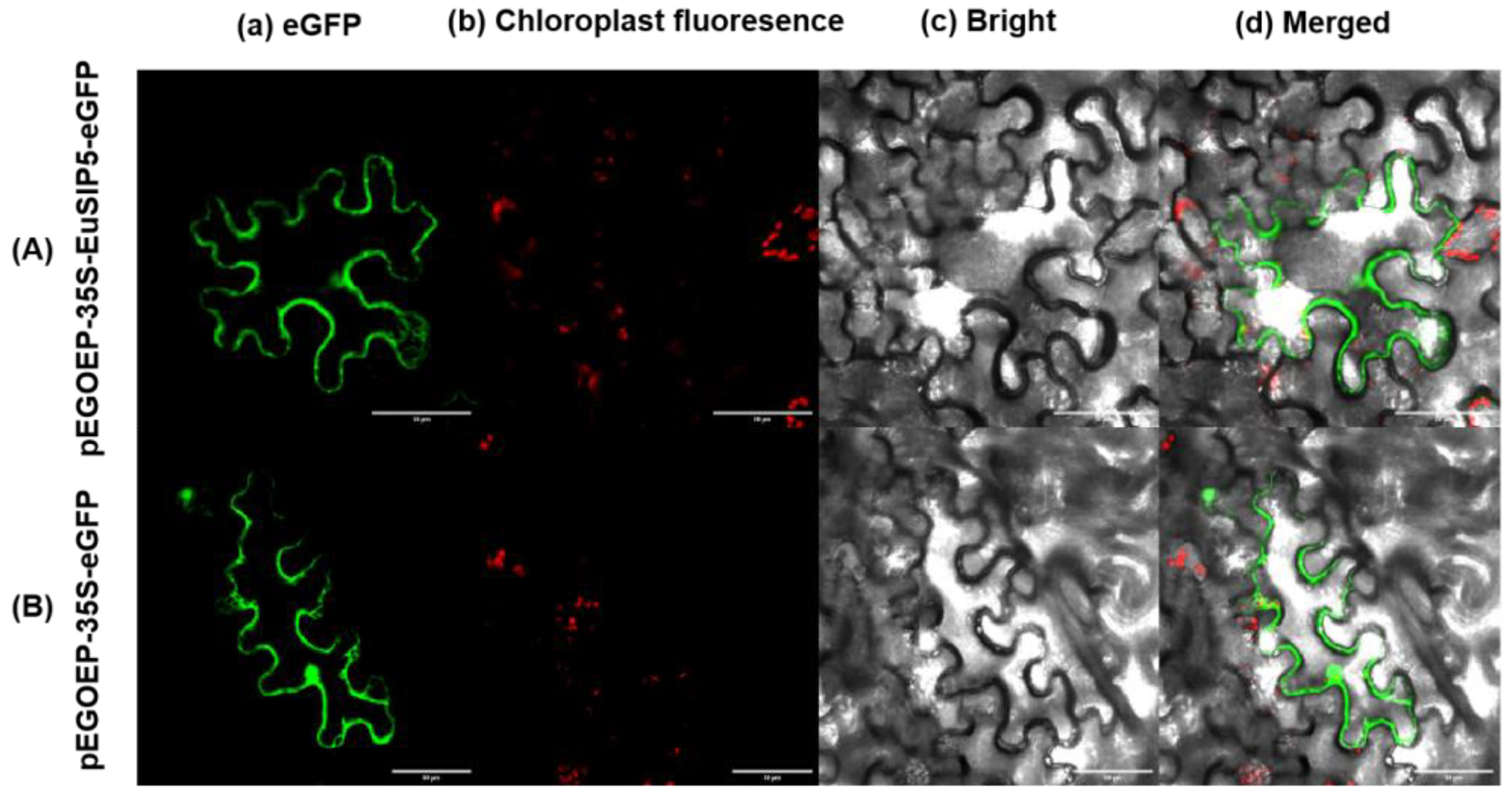 Preprints 115222 g003