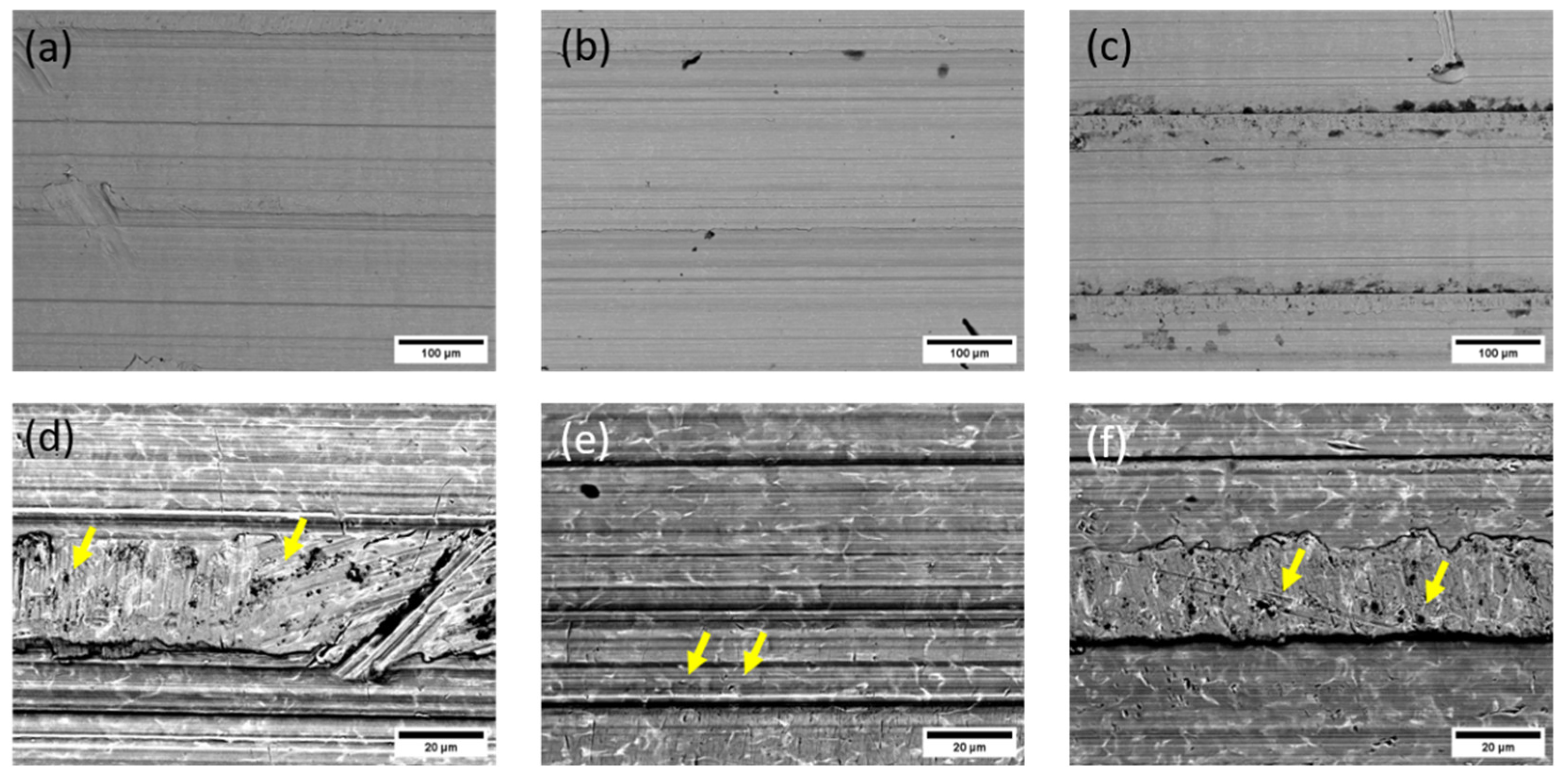 Preprints 106080 g012