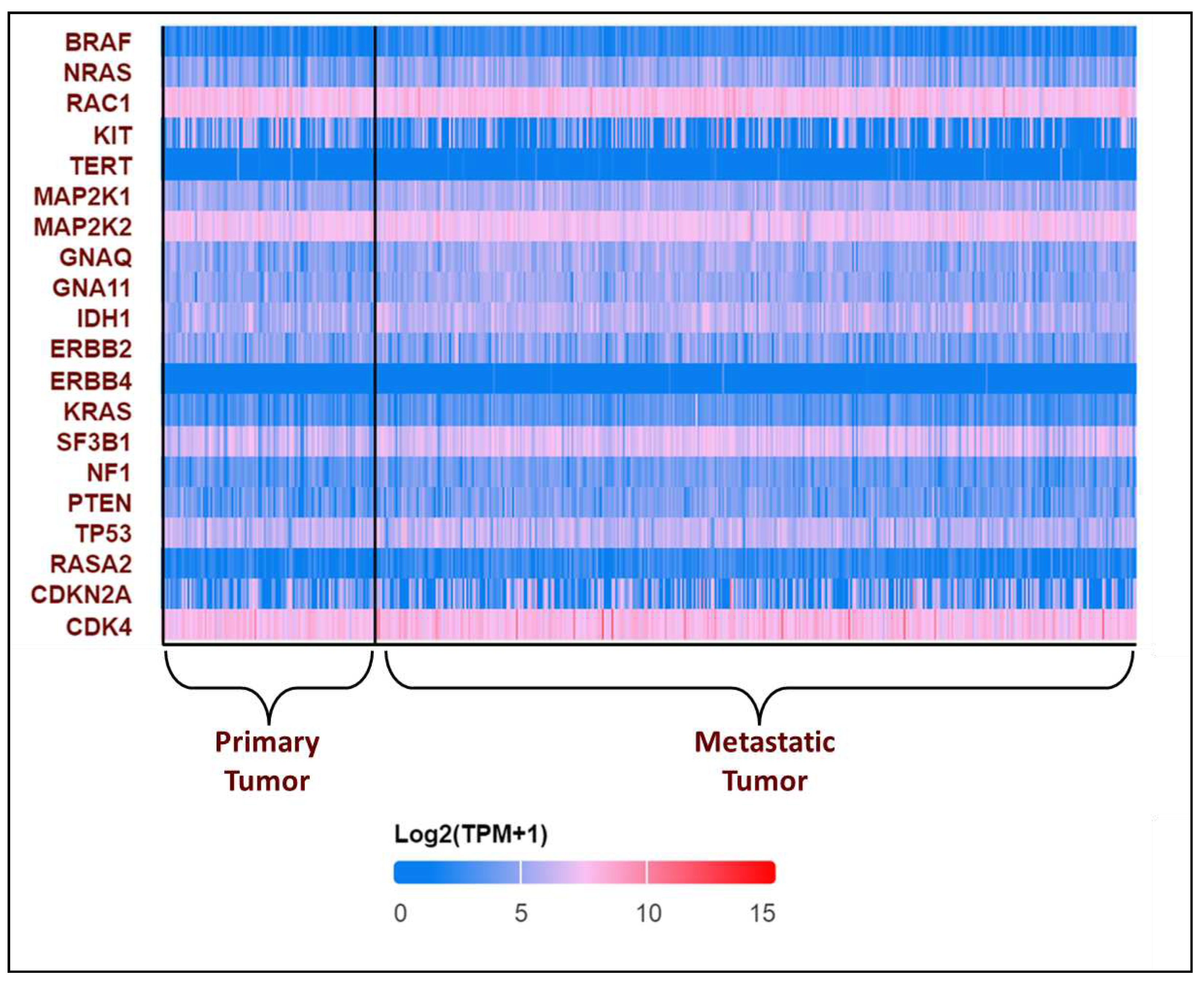 Preprints 83969 g002