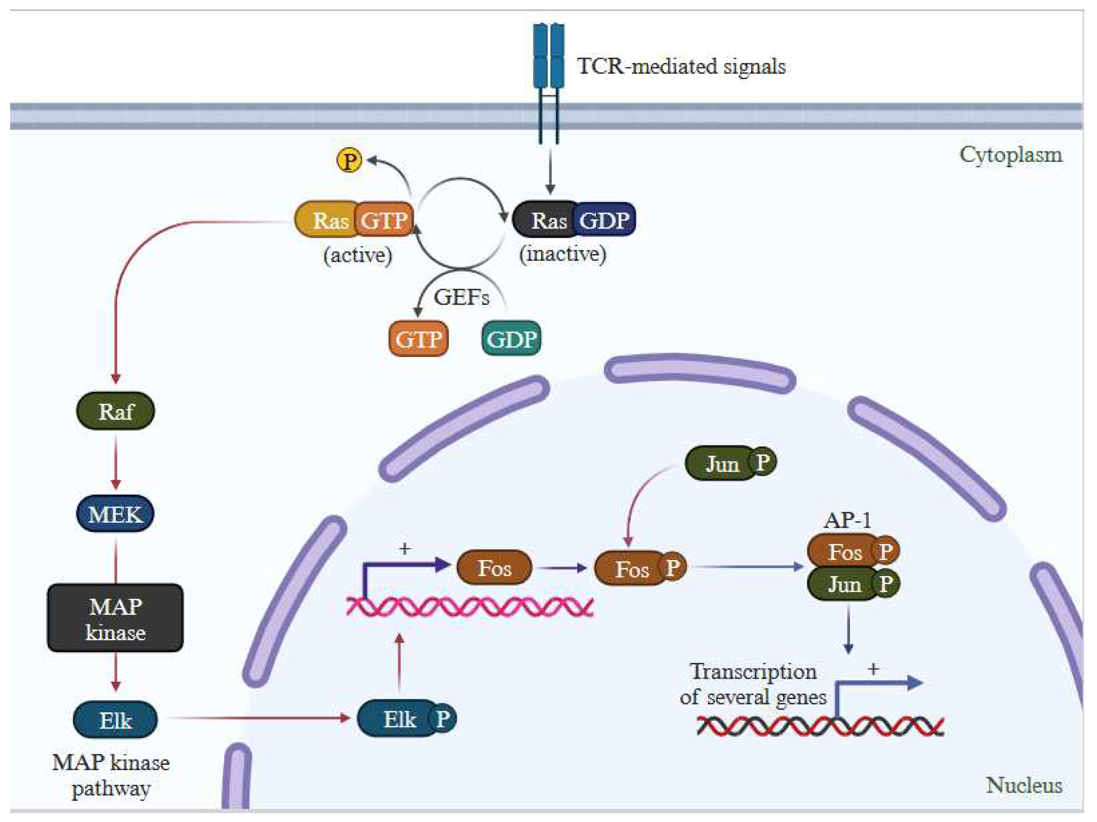 Preprints 83969 g003