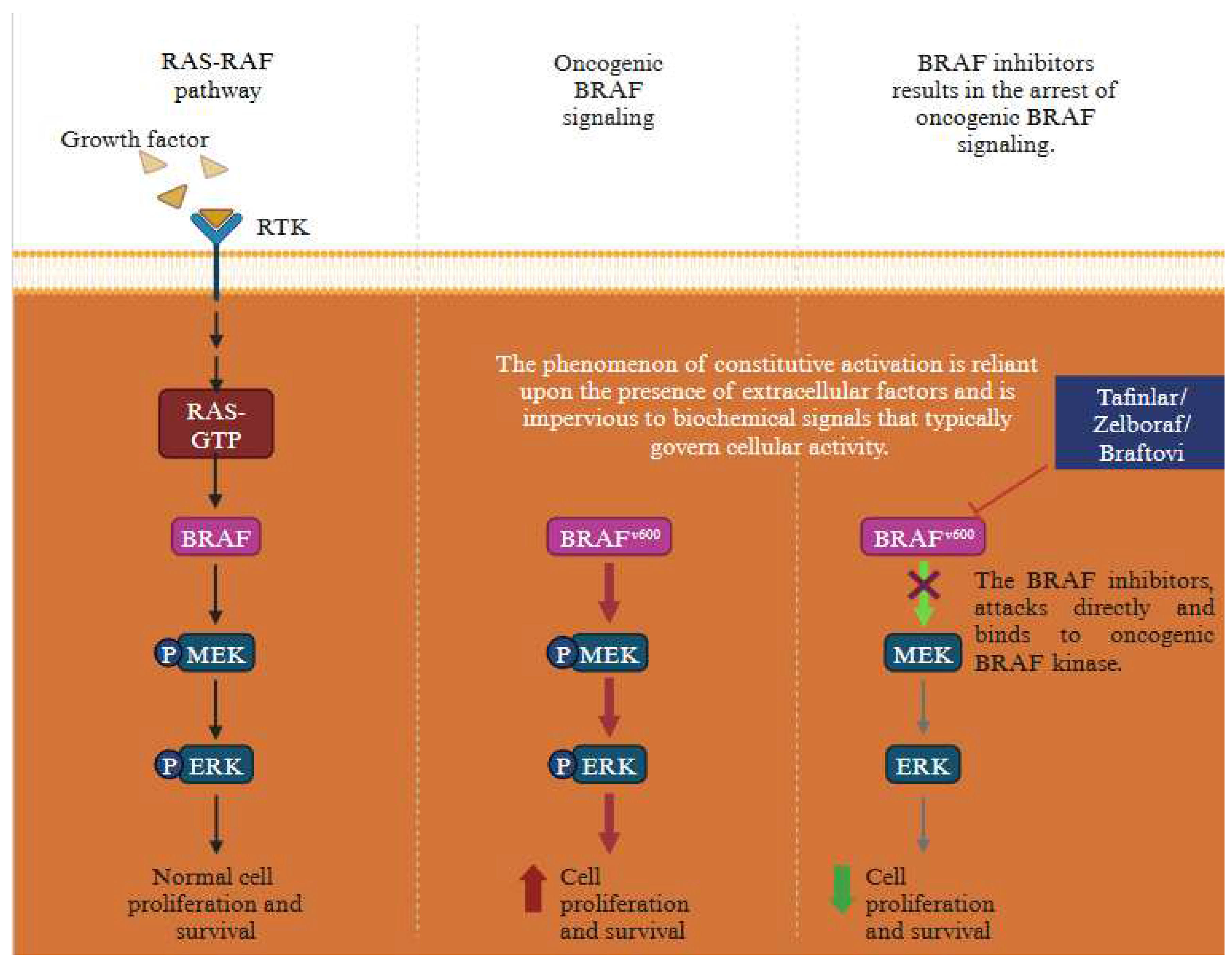 Preprints 83969 g008