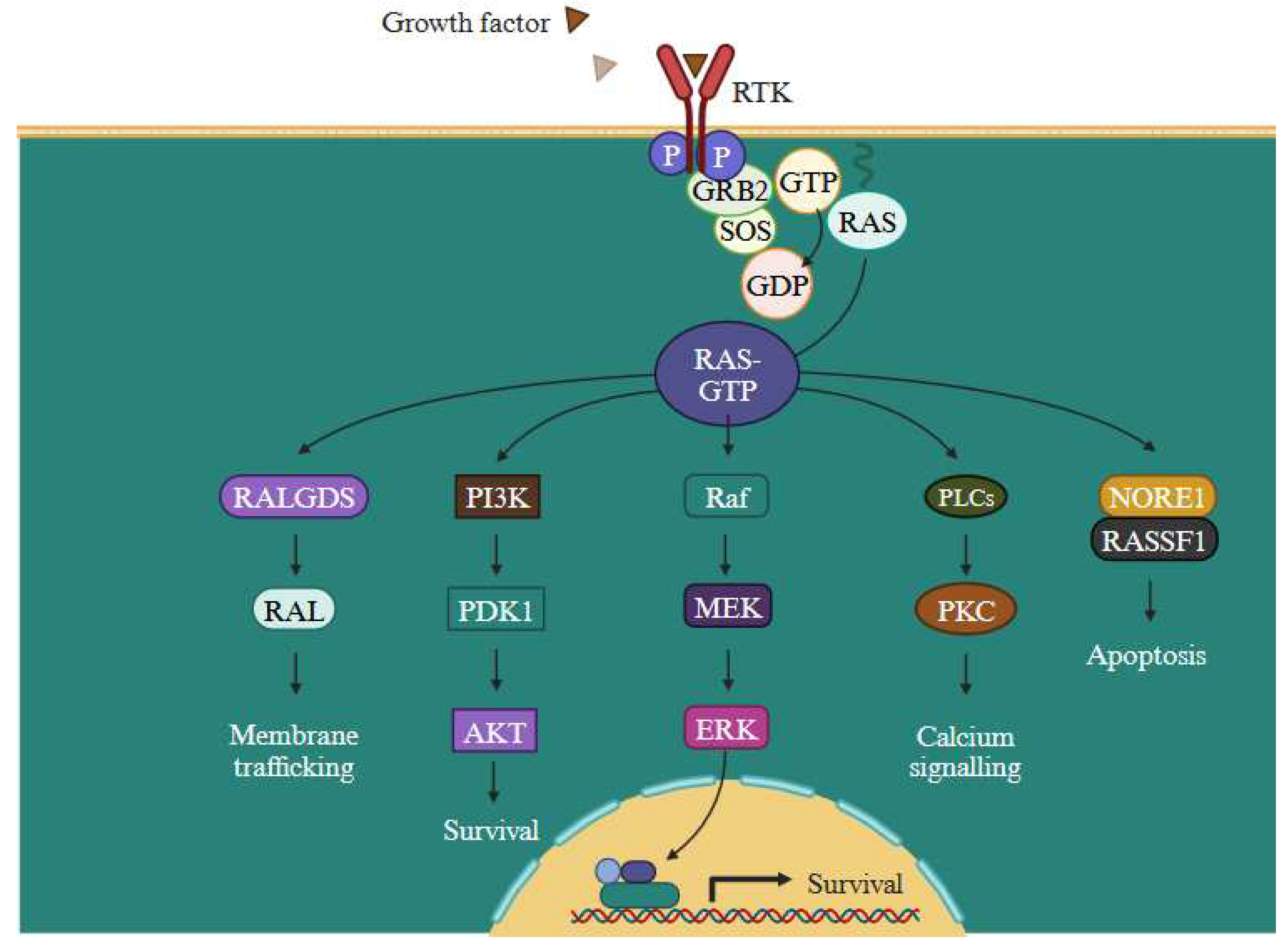 Preprints 83969 g010