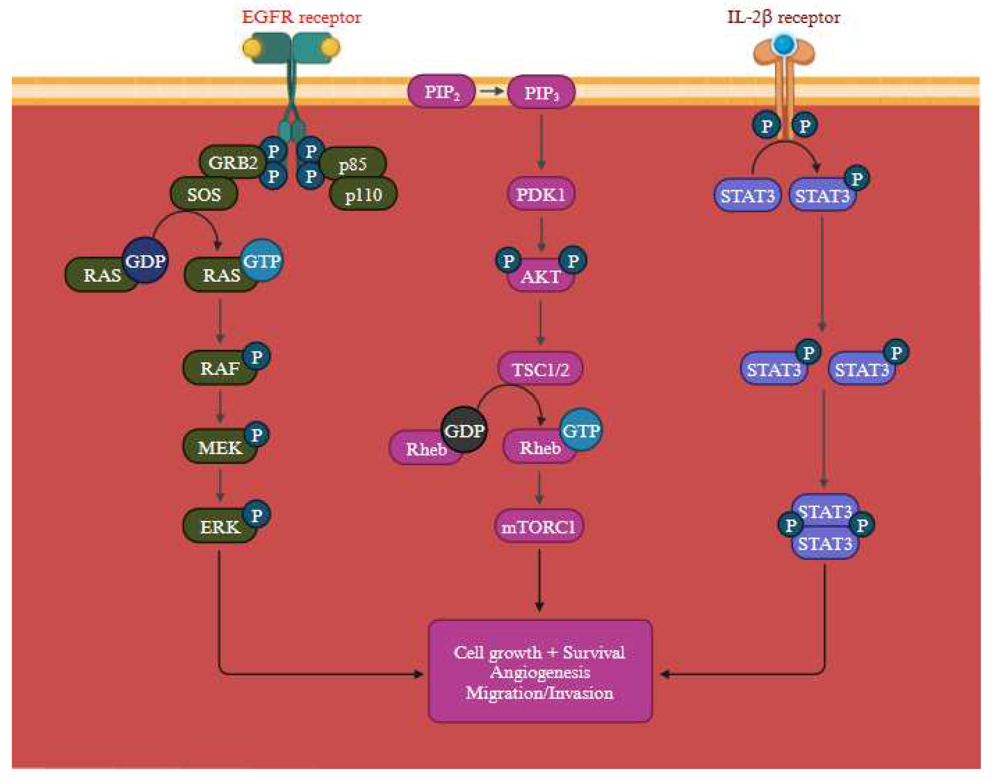 Preprints 83969 g011