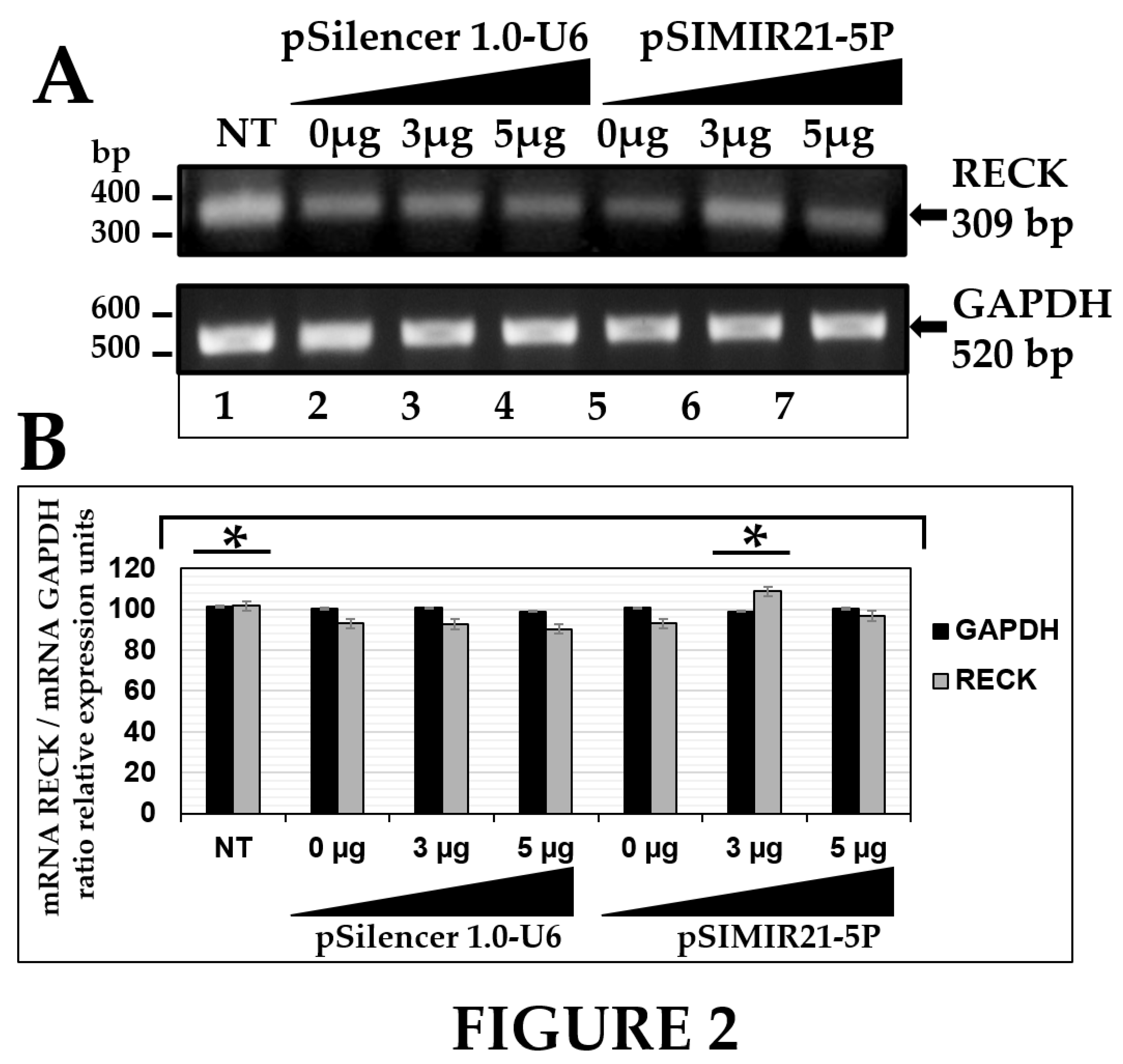 Preprints 98572 g002