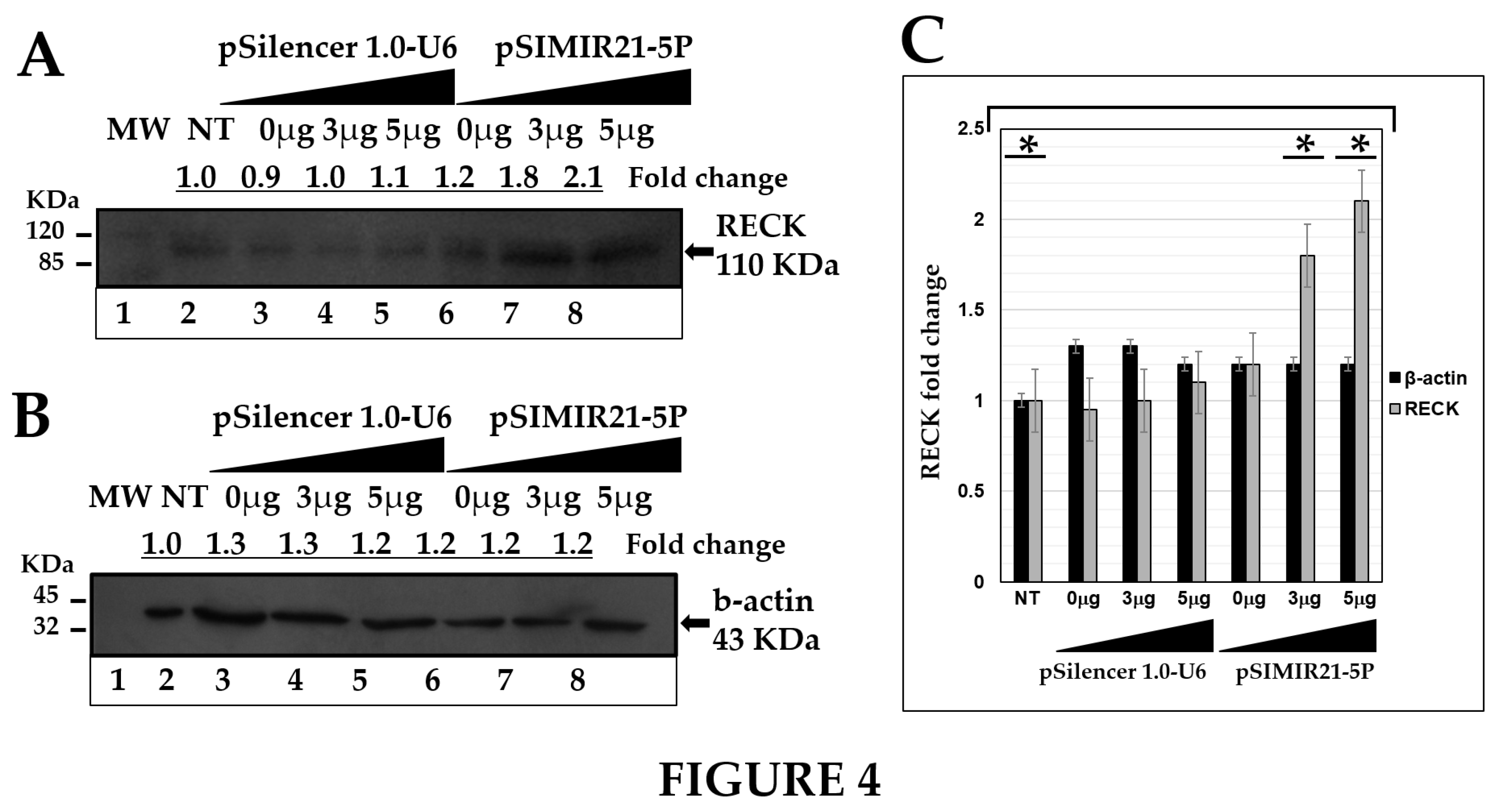 Preprints 98572 g004