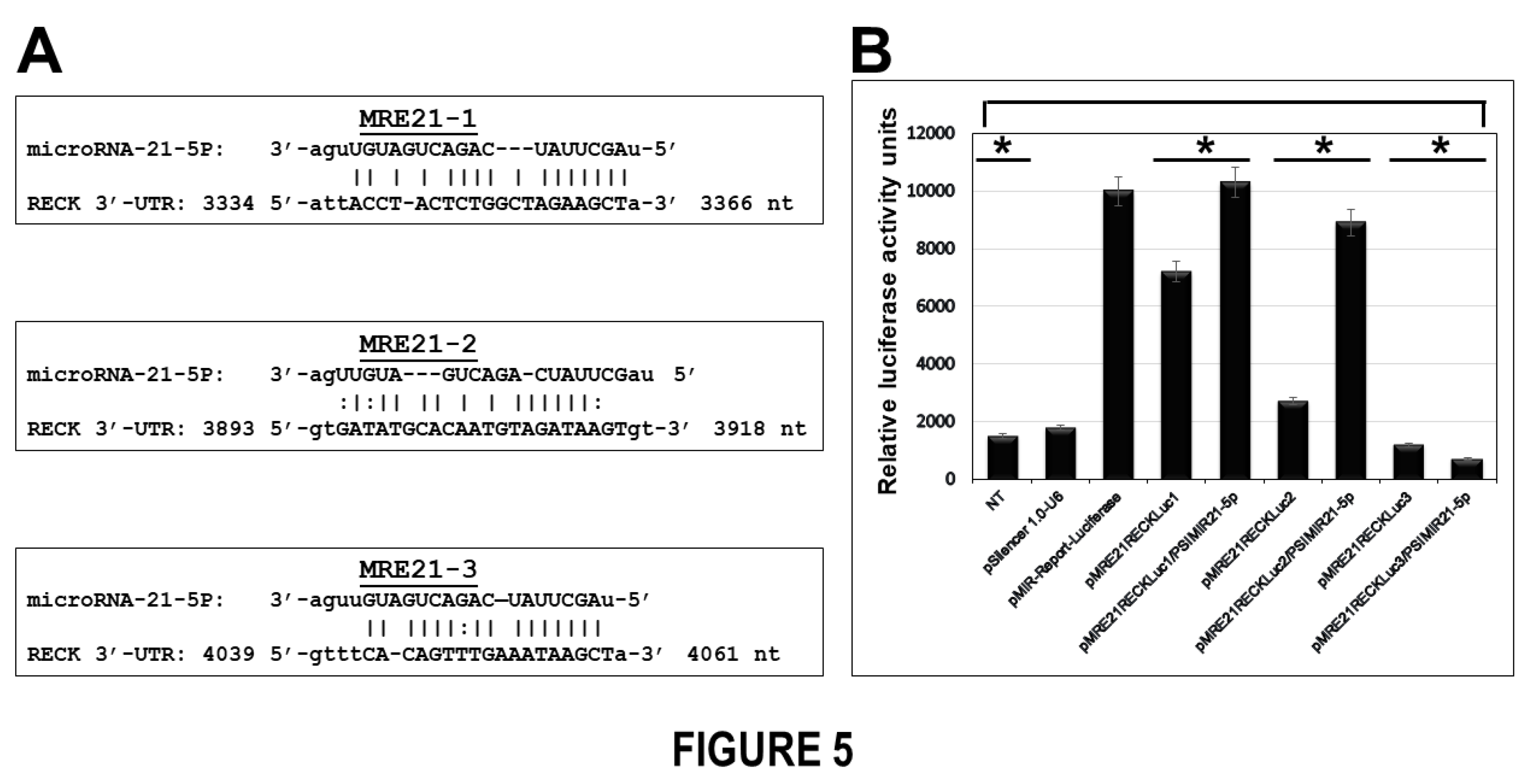 Preprints 98572 g005