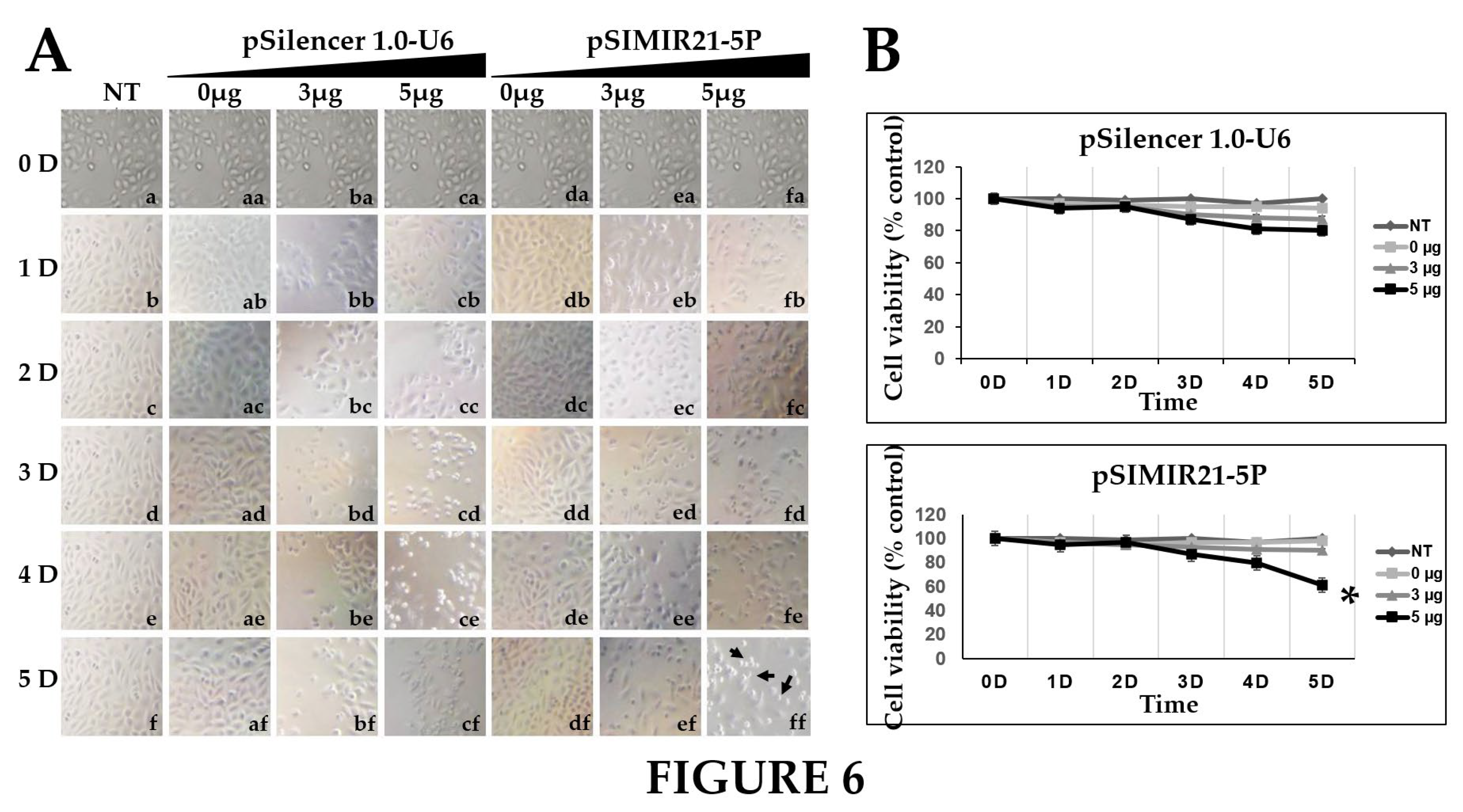 Preprints 98572 g006