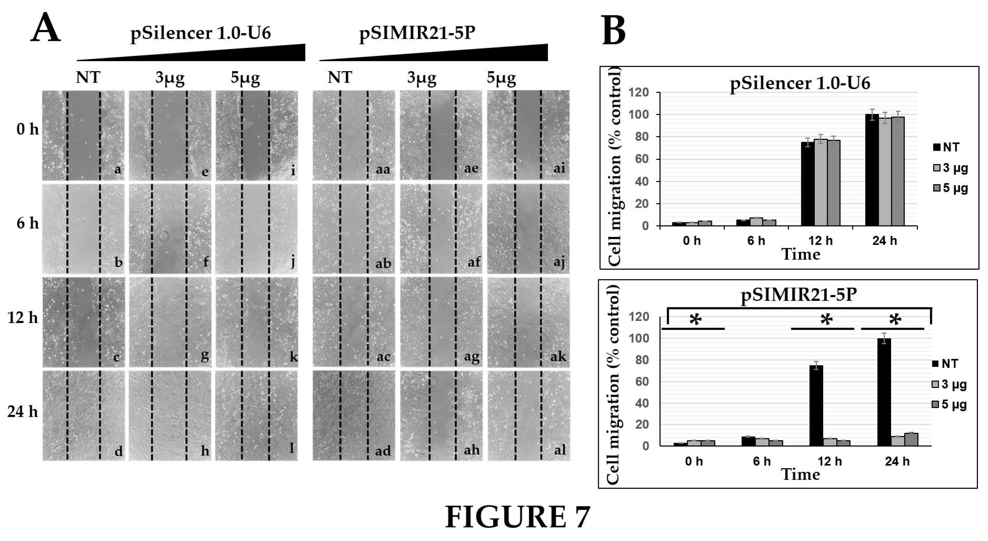 Preprints 98572 g007