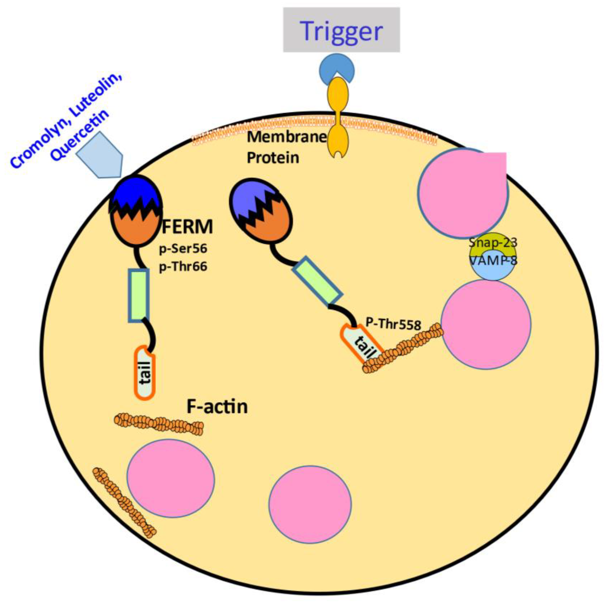 Preprints 78253 g001