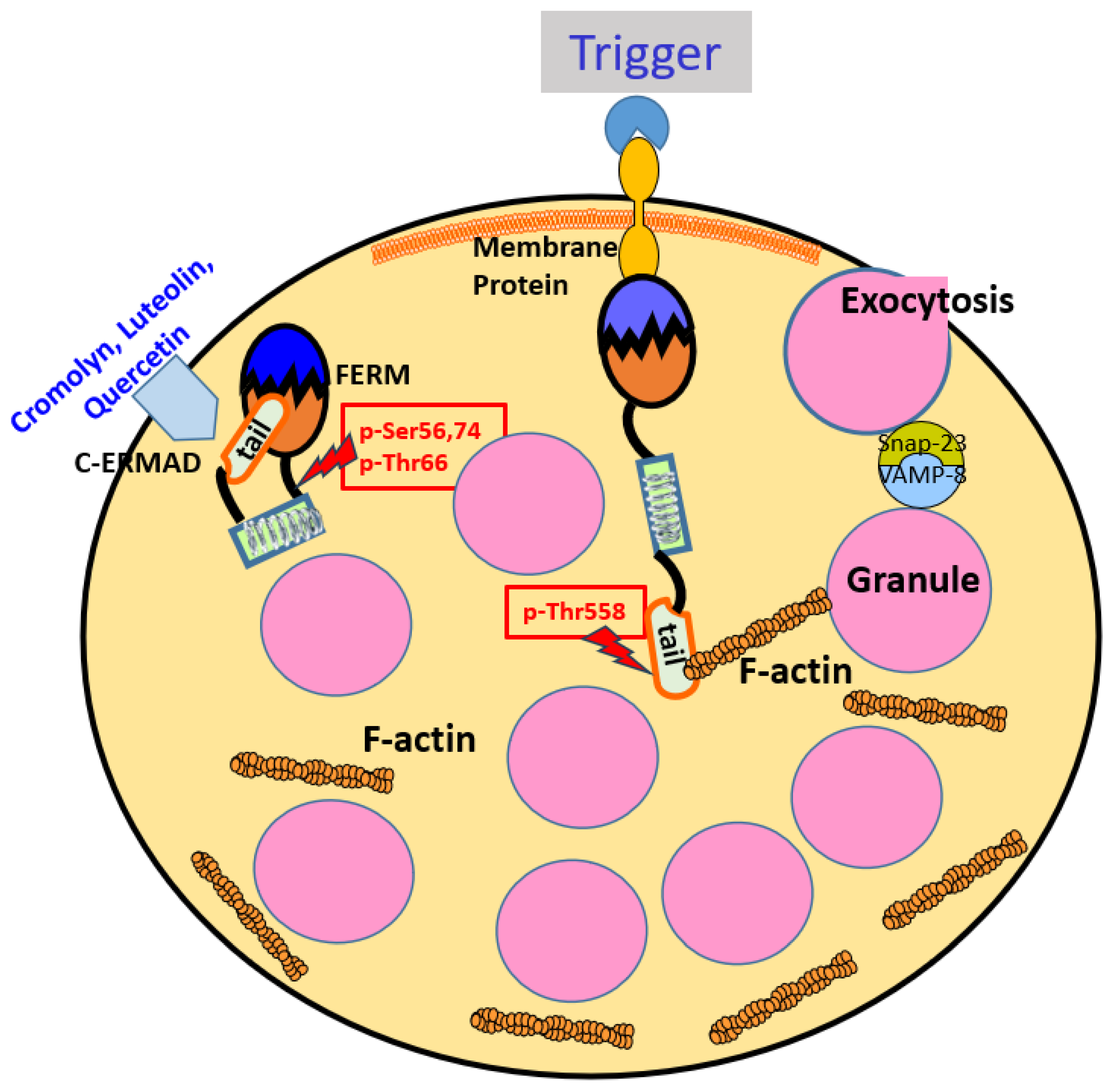 Preprints 78253 g002