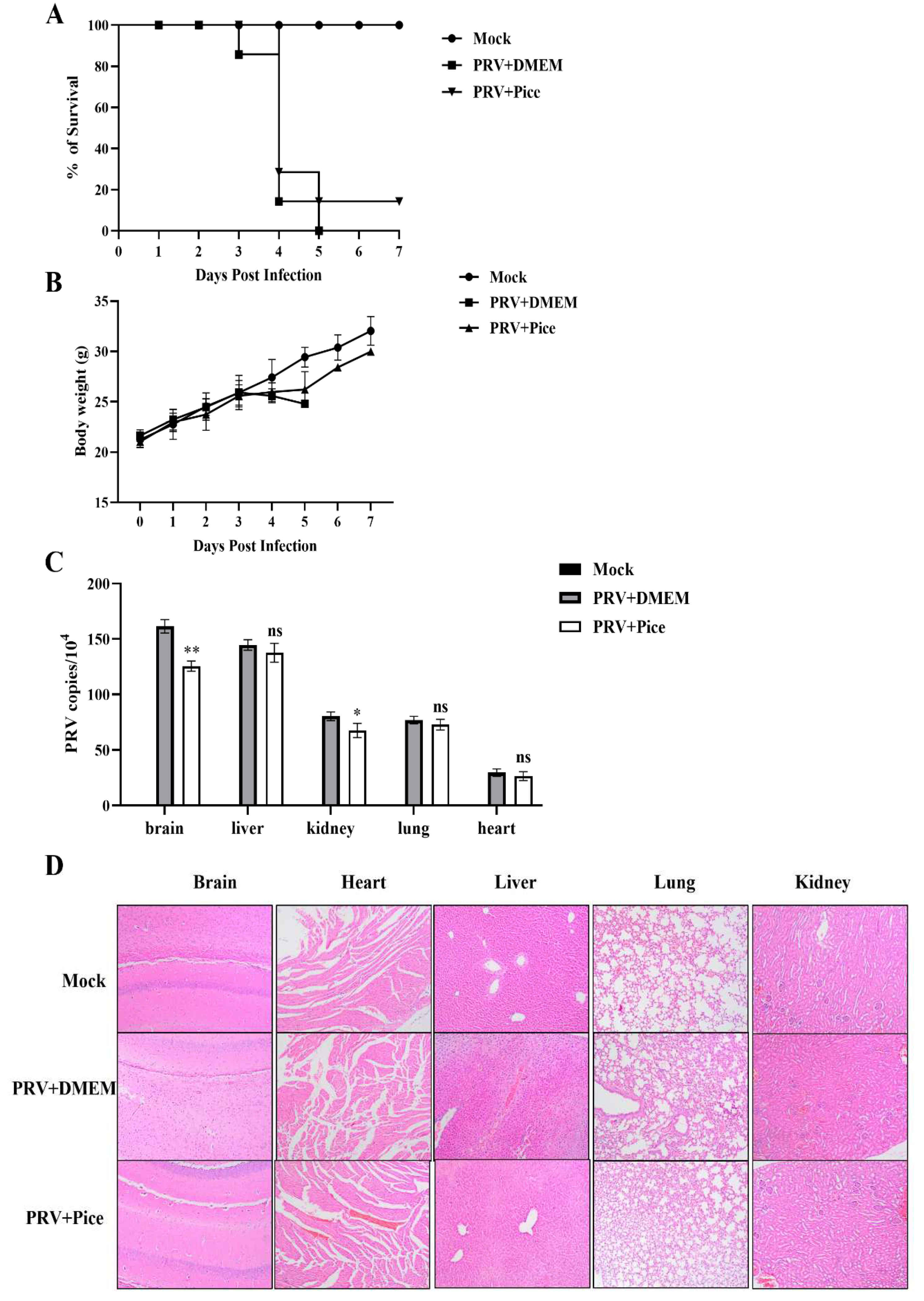 Preprints 77684 g007