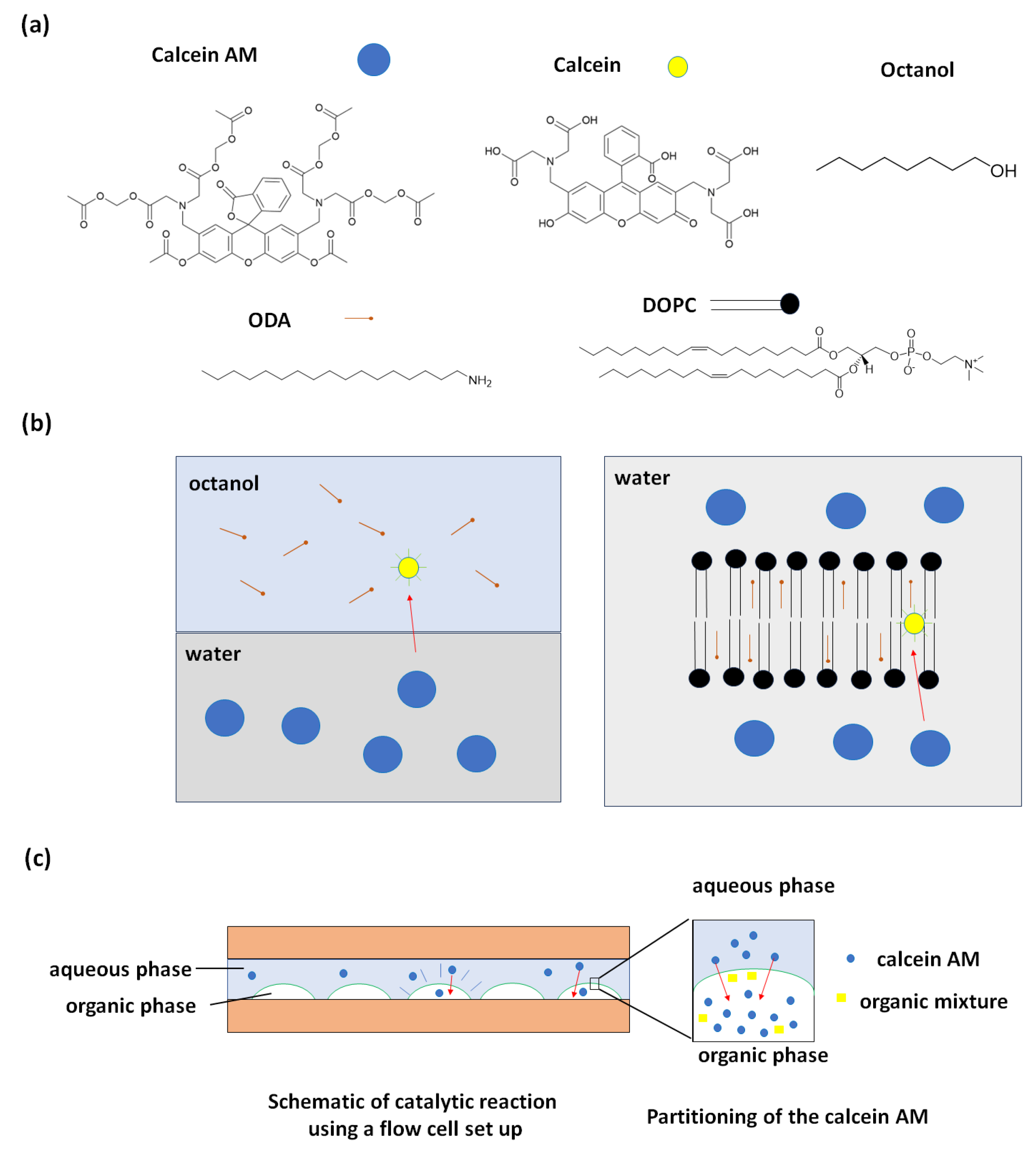 Preprints 108268 g001