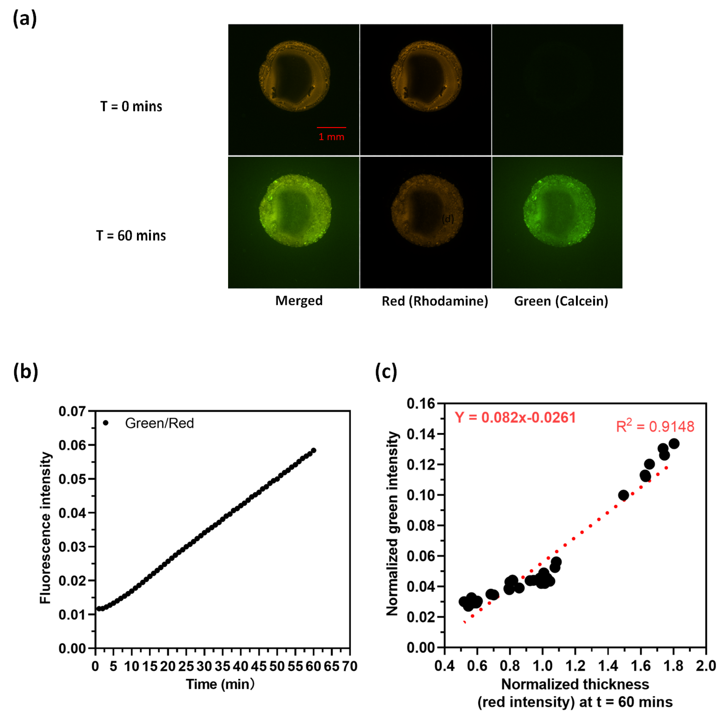 Preprints 108268 g004