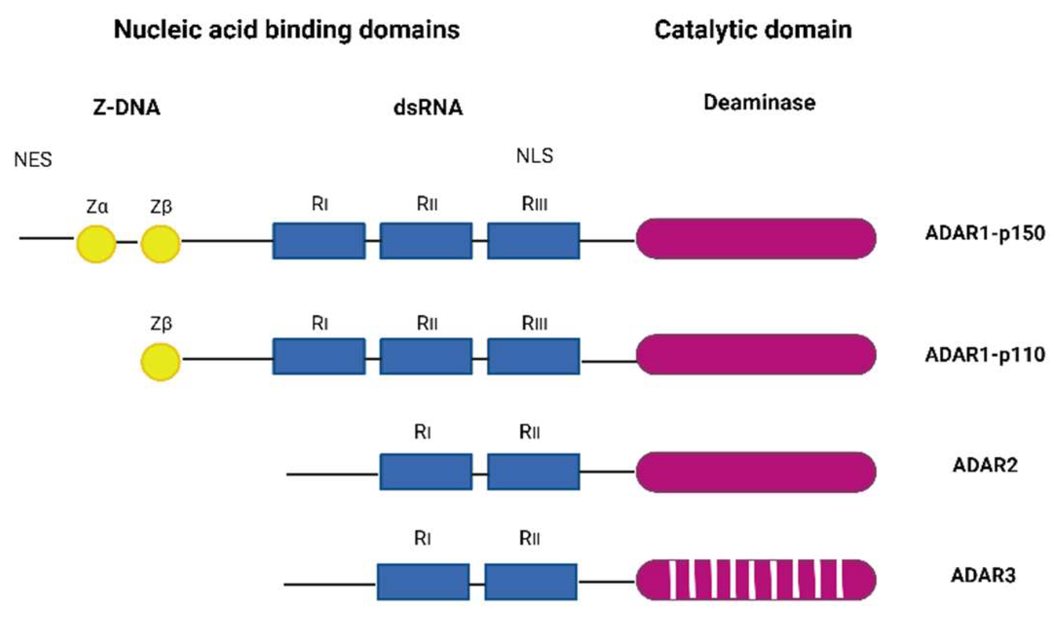 Preprints 84849 g001