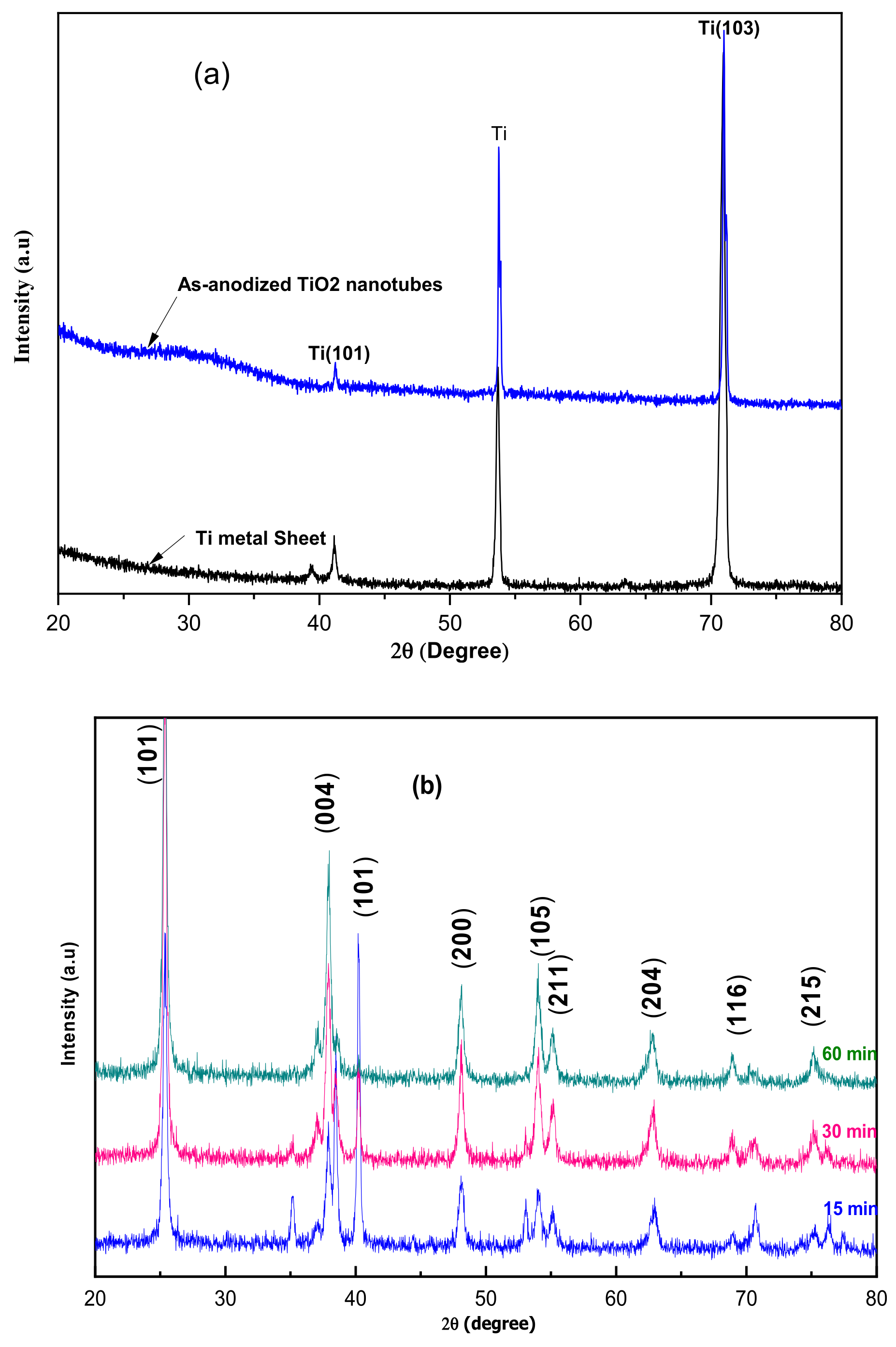 Preprints 121044 g002