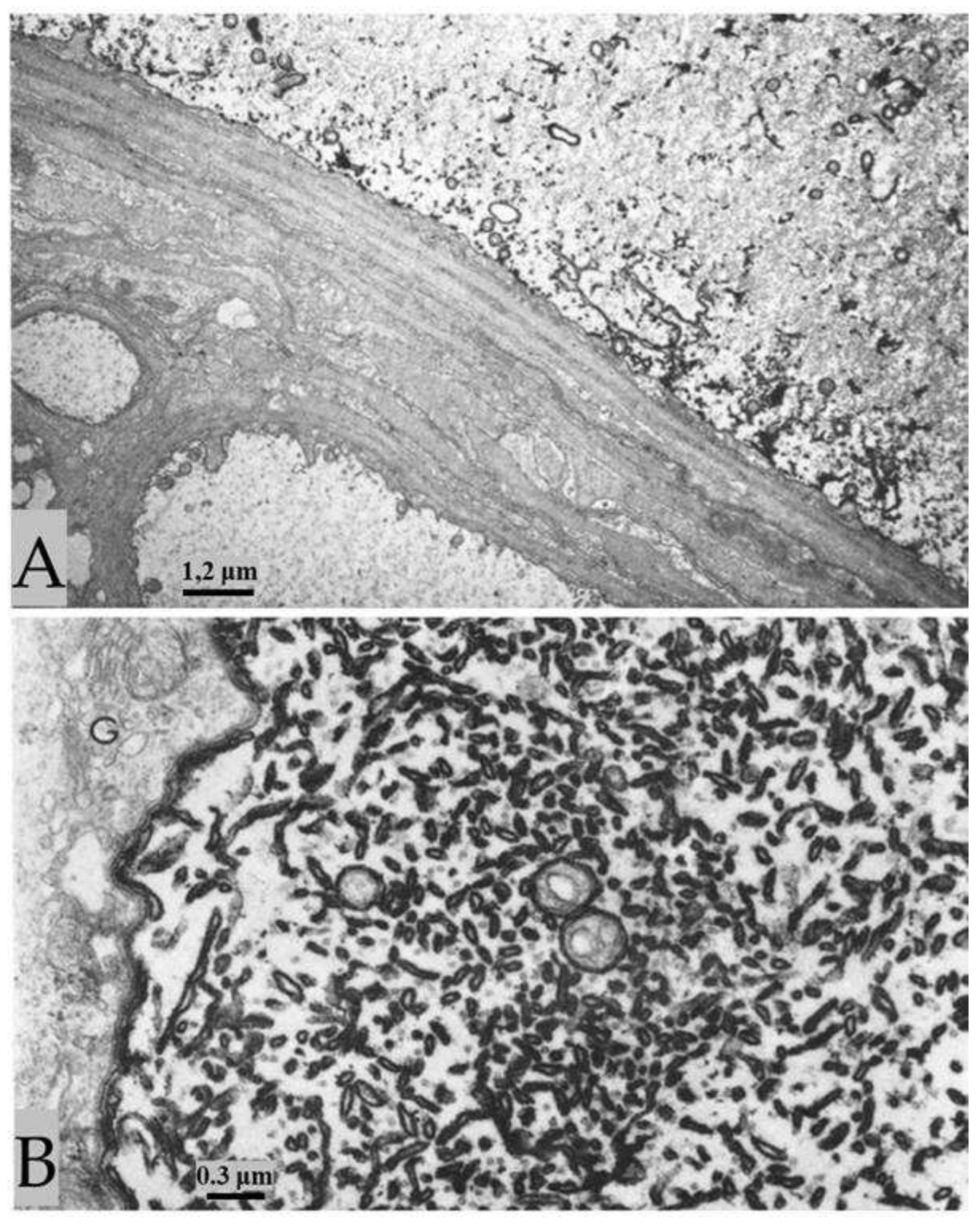 Preprints 82265 g008