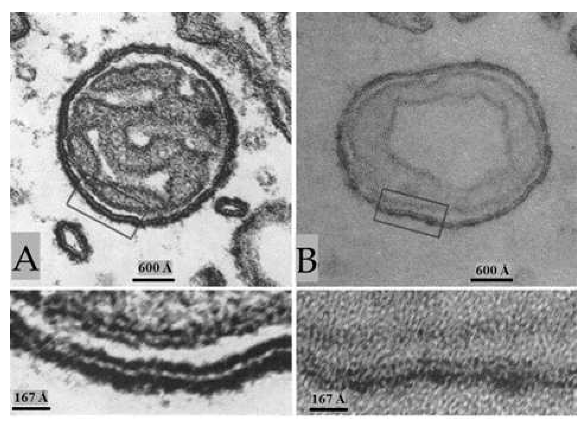 Preprints 82265 g010