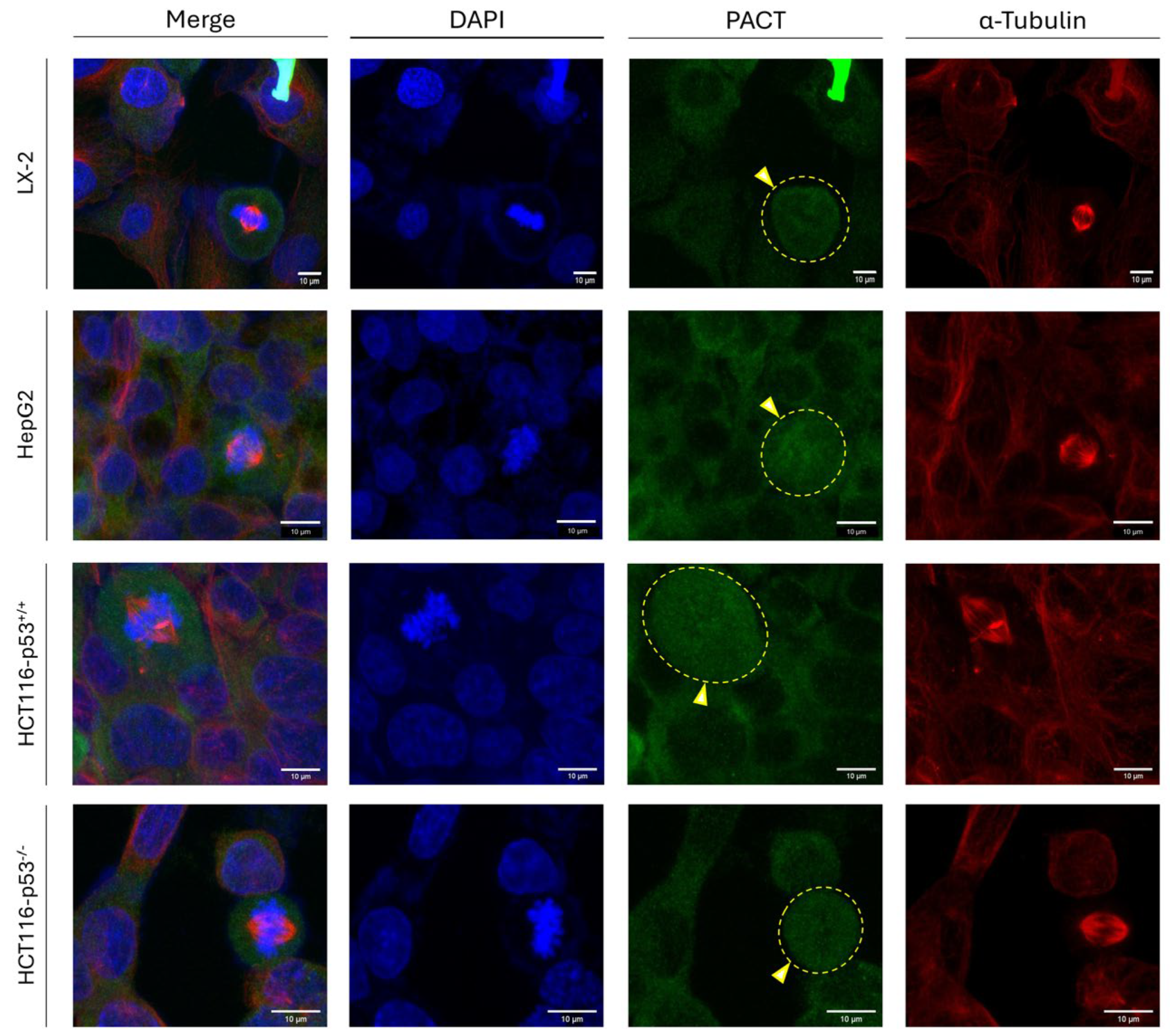 Preprints 120476 g008