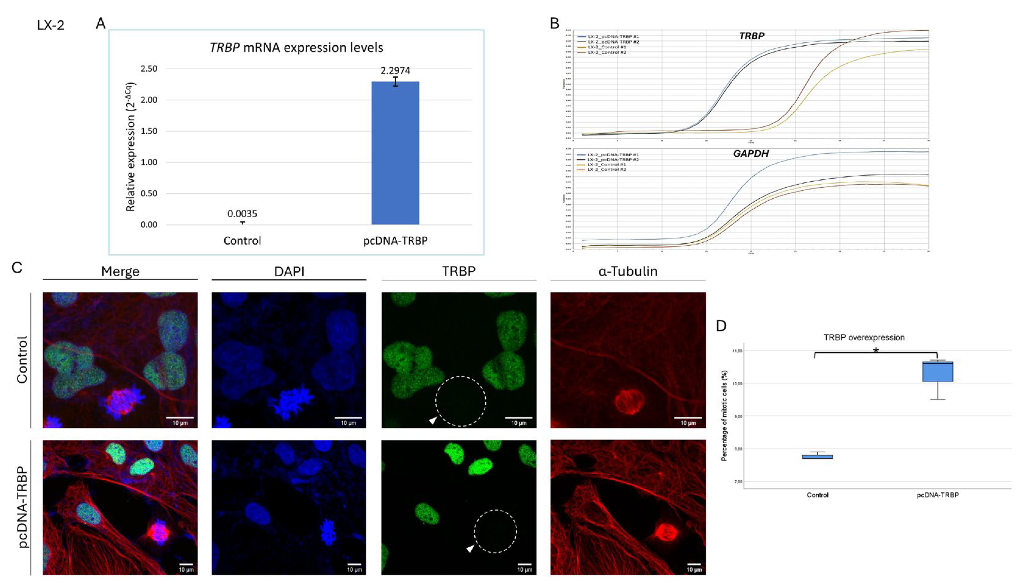 Preprints 120476 g009