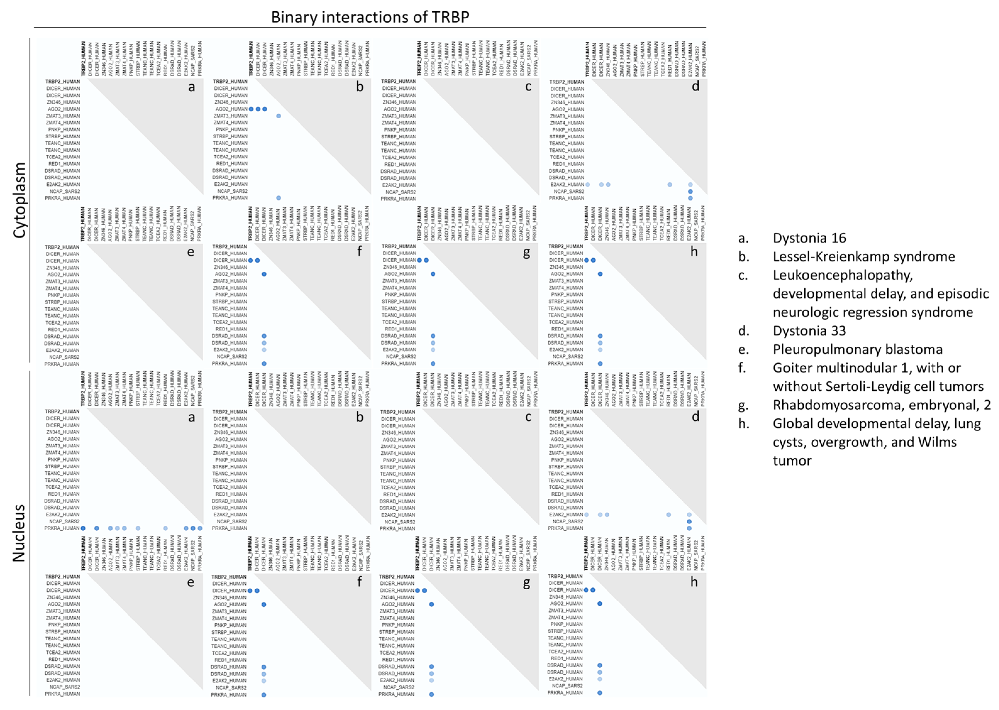 Preprints 120476 g013